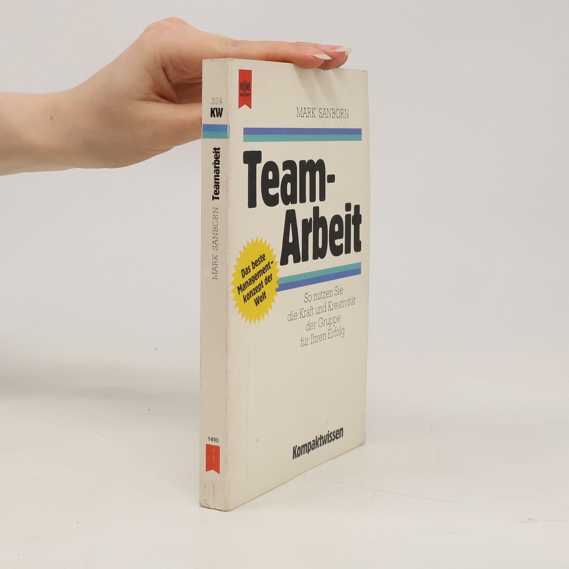 Mark Sanborn Team-Arbeit