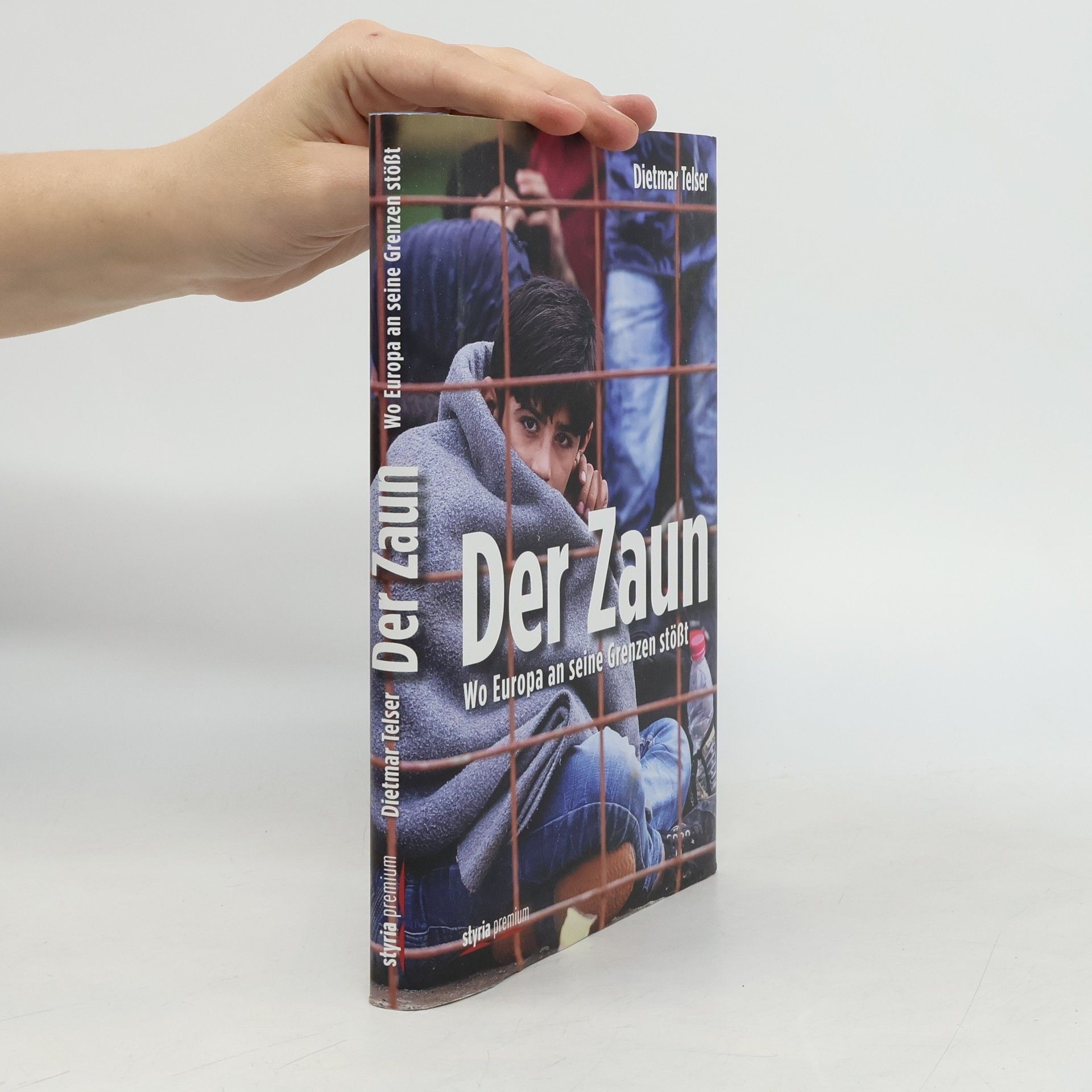 Dietmar Telser Der Zaun