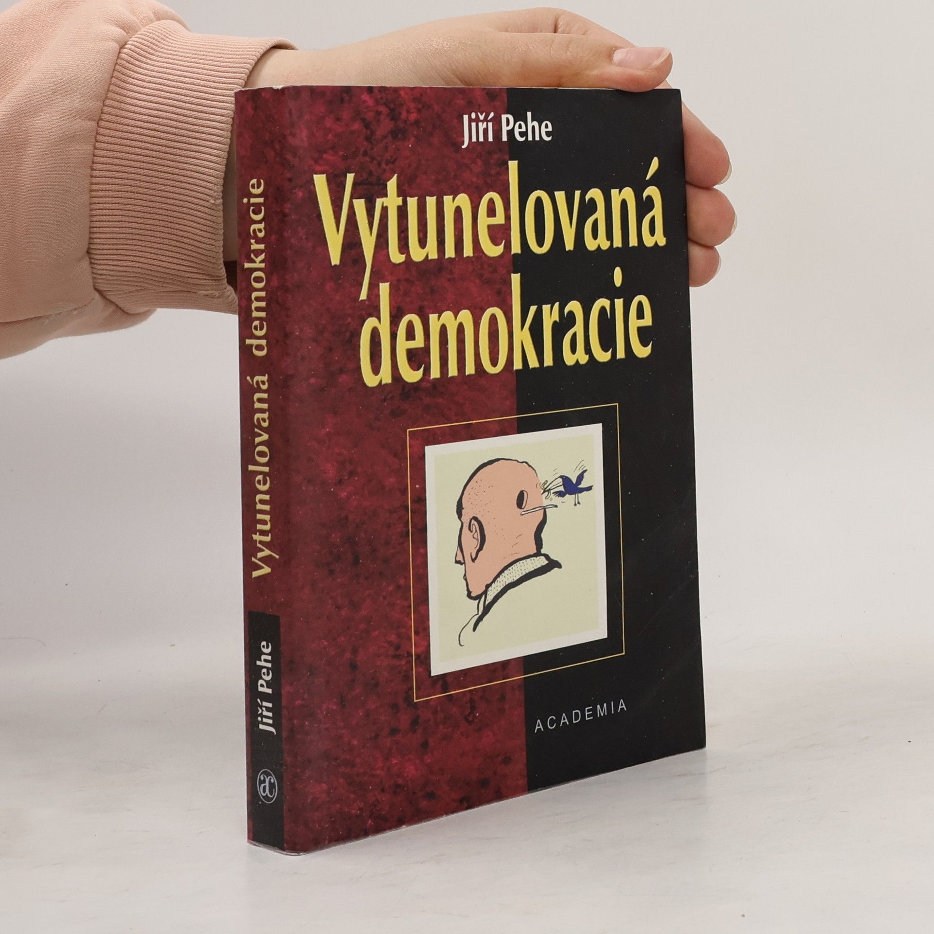 Jiří Pehe Vytunelovaná demokracie