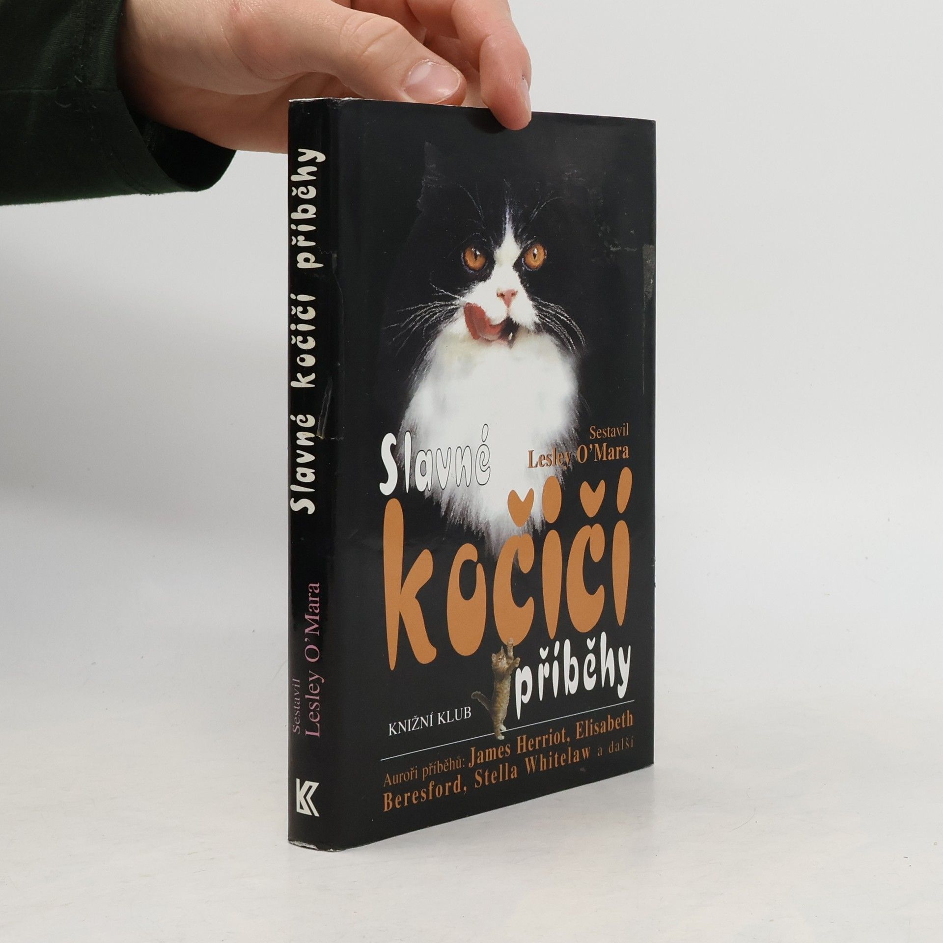 Lesley OMara Slavné kočičí příběhy