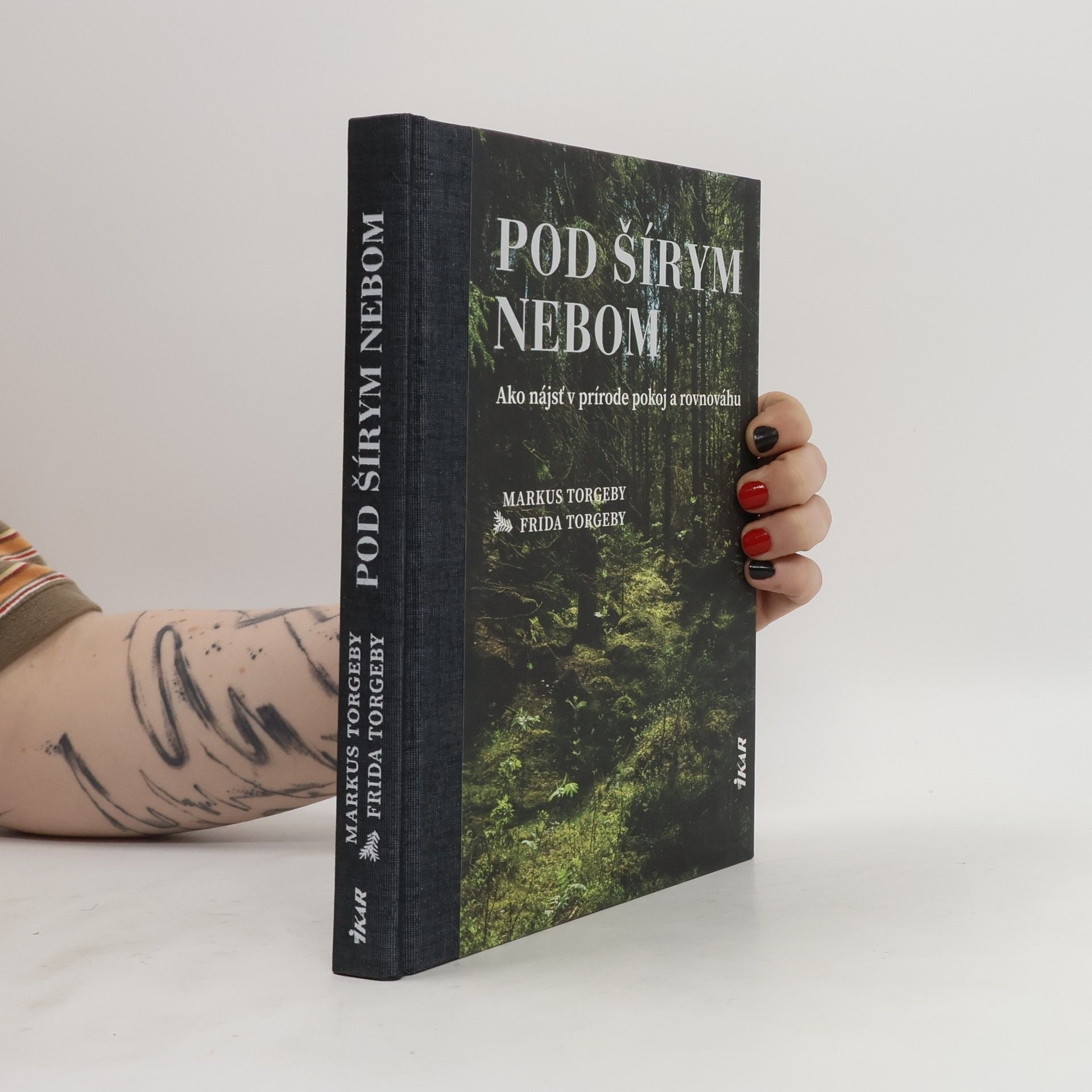 Markus Torgeby Pod šírym nebom