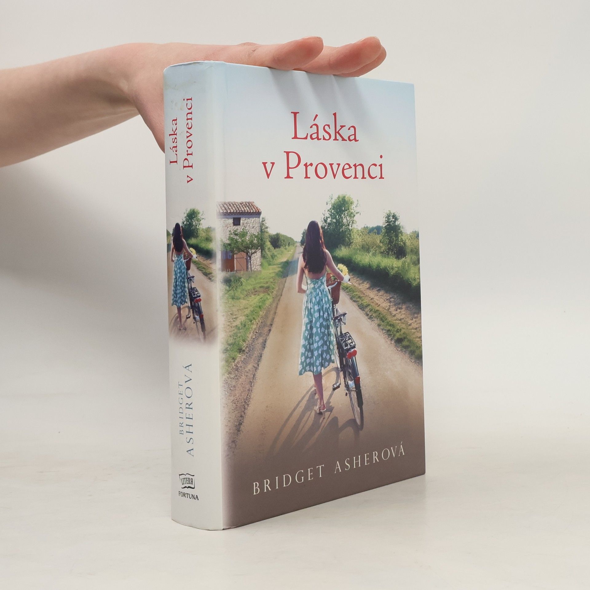Bridget Asher Láska v Provenci