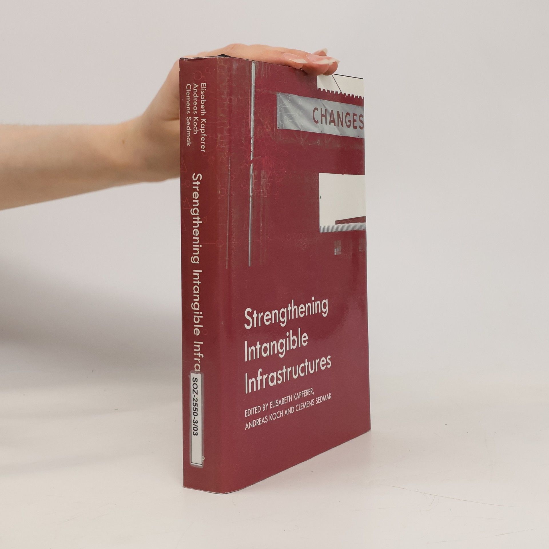 Andrea S. Koch Strengthening Intangible Infrastructures