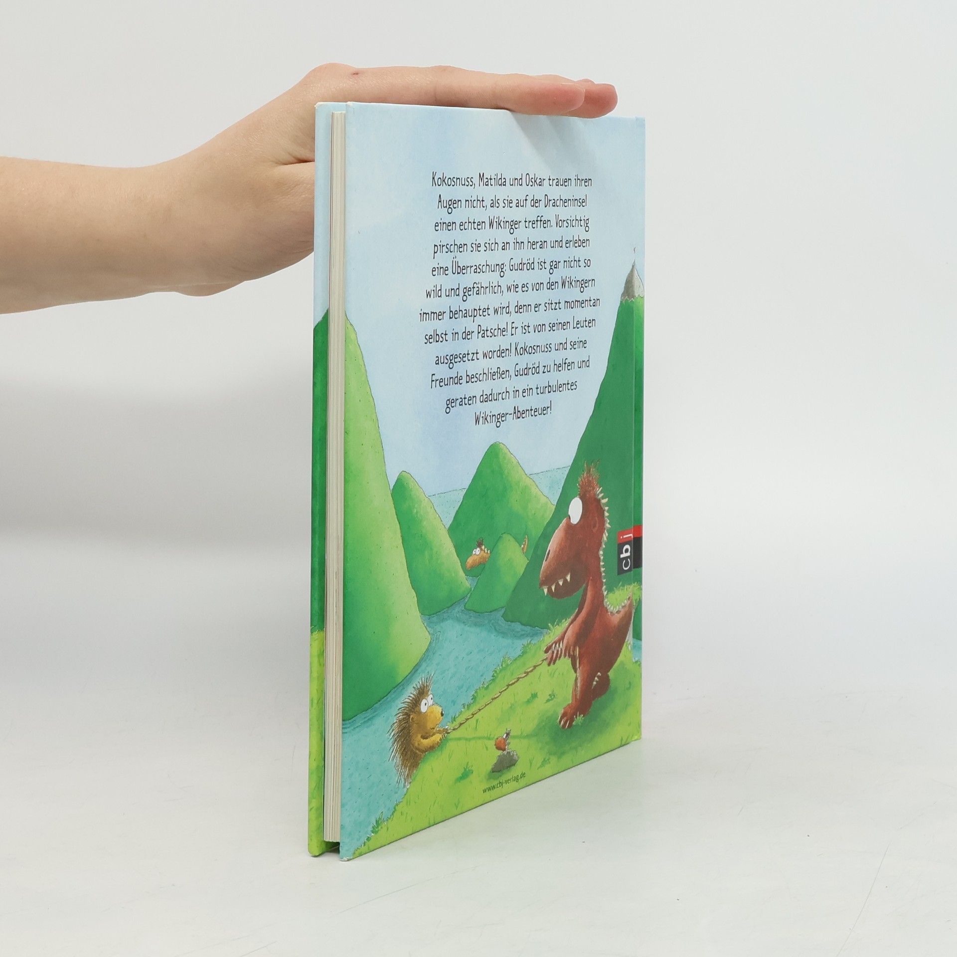Ingo Seigner Der kleine Drache Kokosnuss und die starken Wikinger