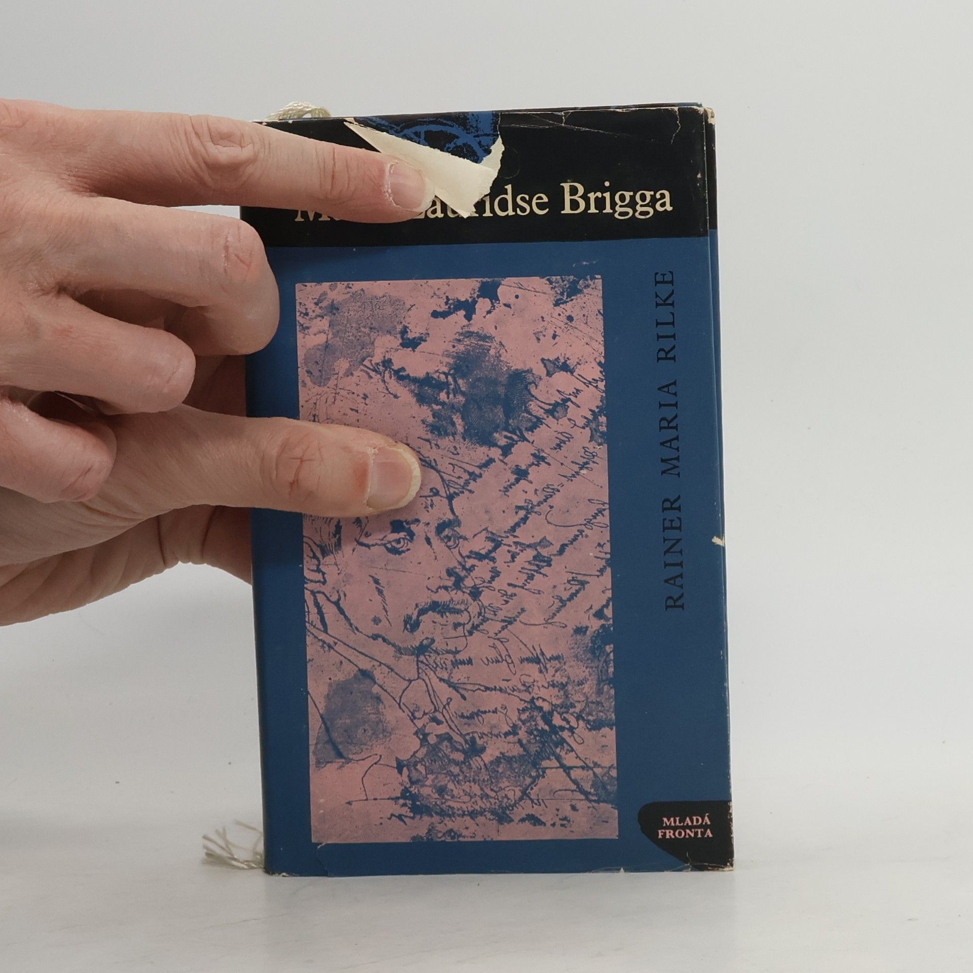 Rainer Maria Rilke Zápisky Malta Lauridse Brigga