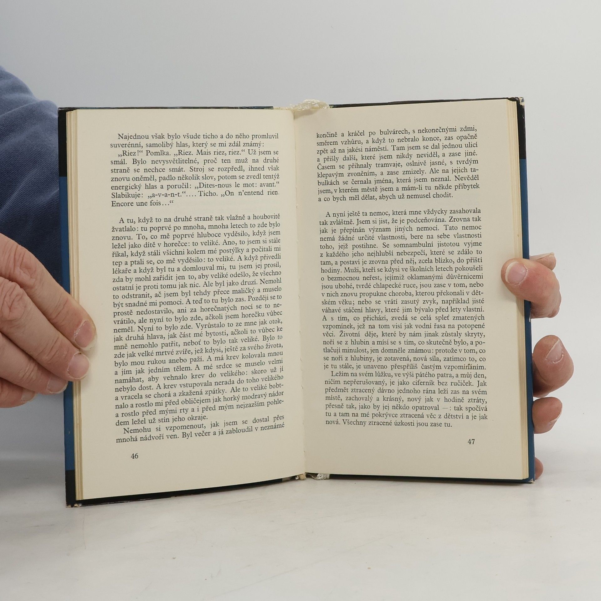 Rainer Maria Rilke Zápisky Malta Lauridse Brigga