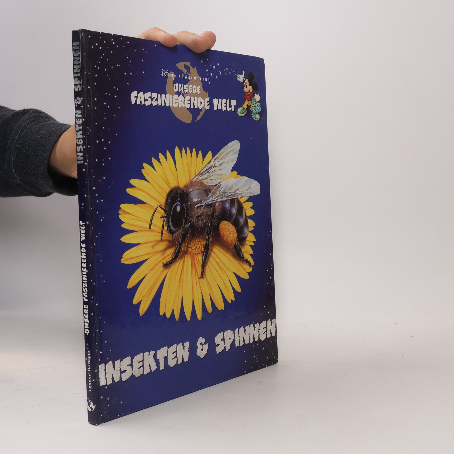 Helga Kronthaler Unsere Faszinierende Welt. Insekten & Spinnen.