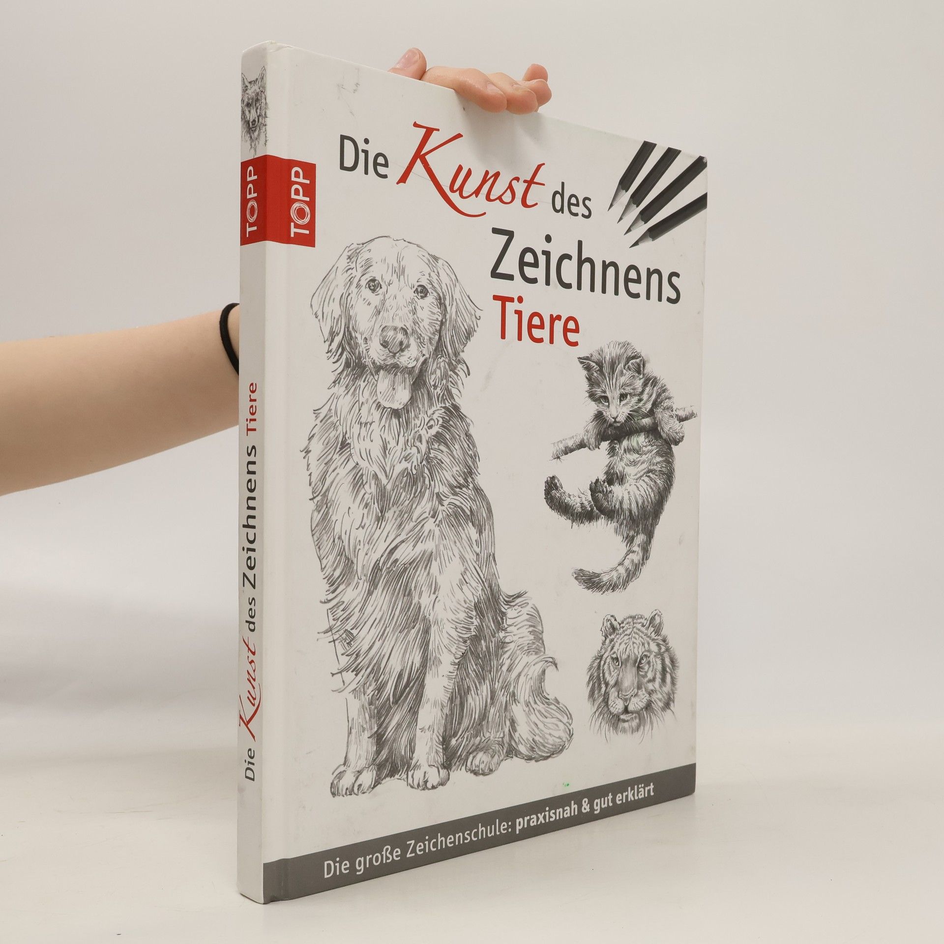 Various authors Die Kunst des Zeichnens - Tiere