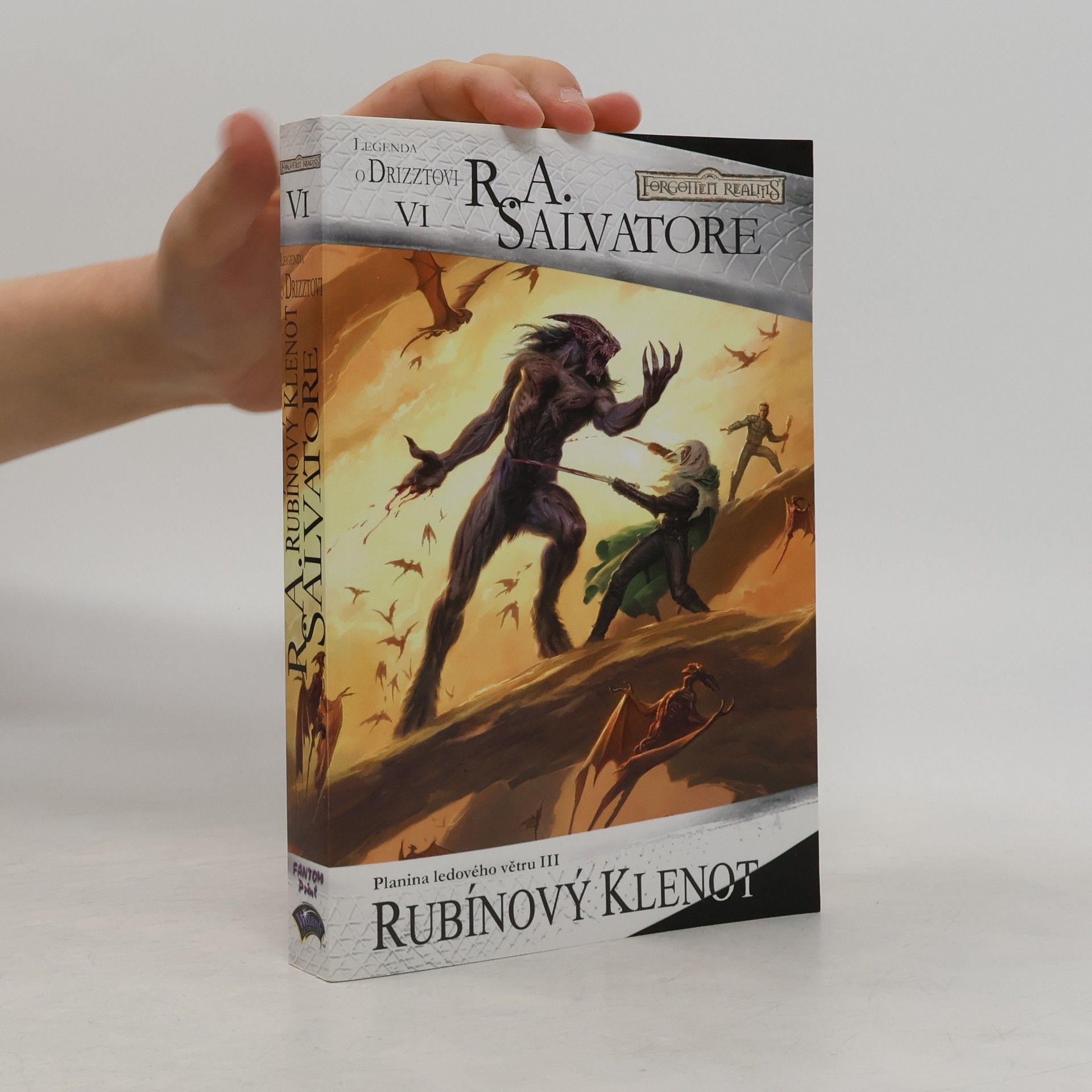 Robert Anthony Salvatore Planina ledového větru III. Rubínový klenot