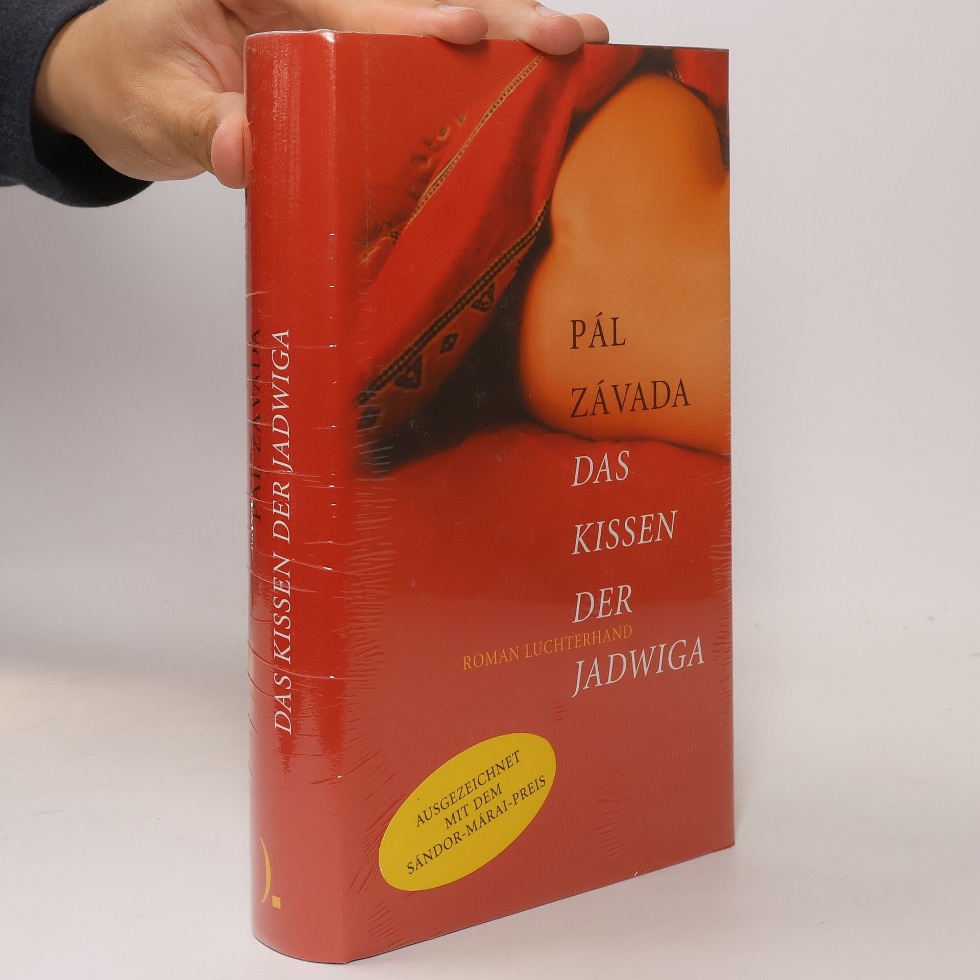 Pál Závada Das Kissen der Jadwiga