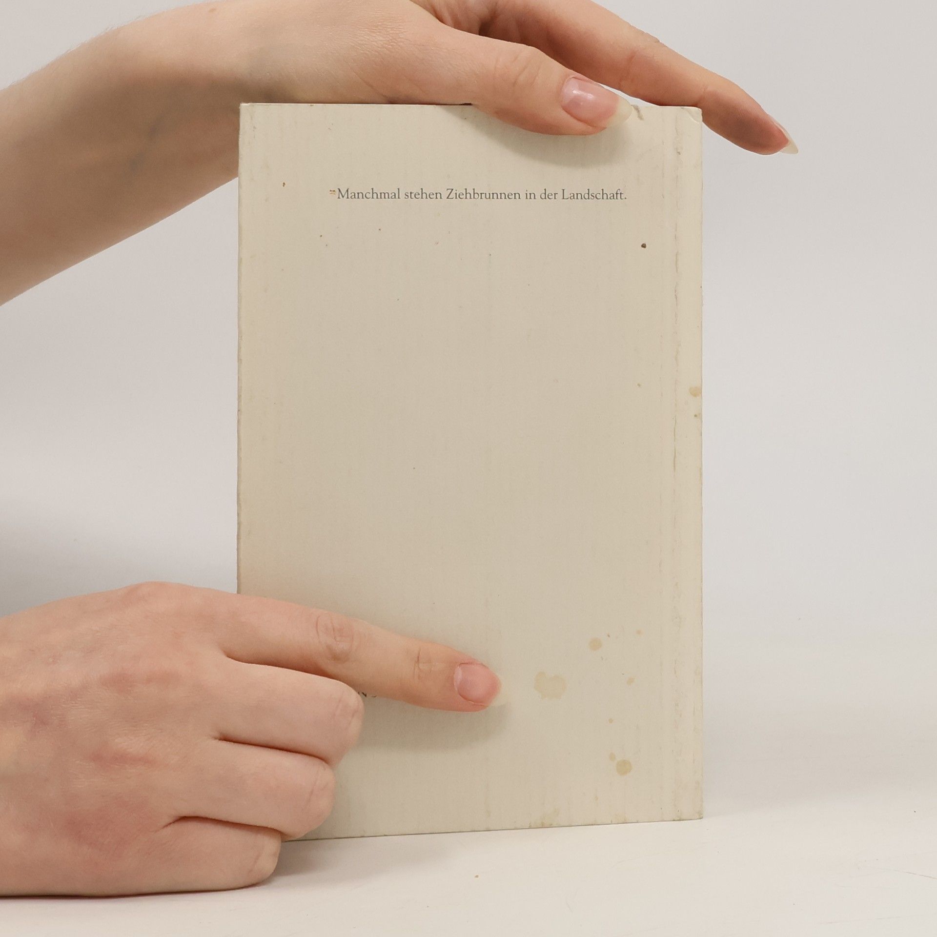 Christine Haidegger Schöne Landschaft