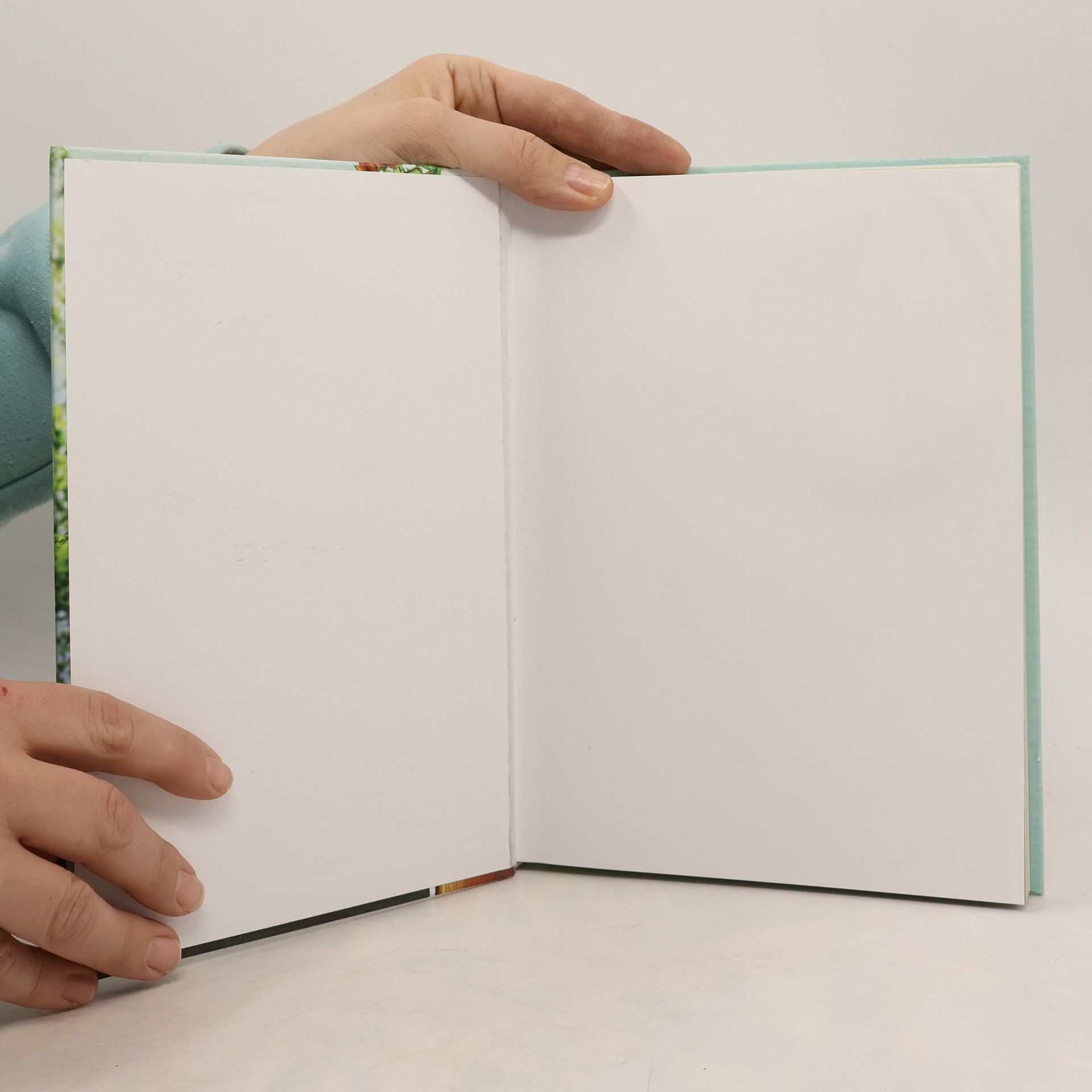 Various authors Putování přírodou: Stromy, květiny, ptáci