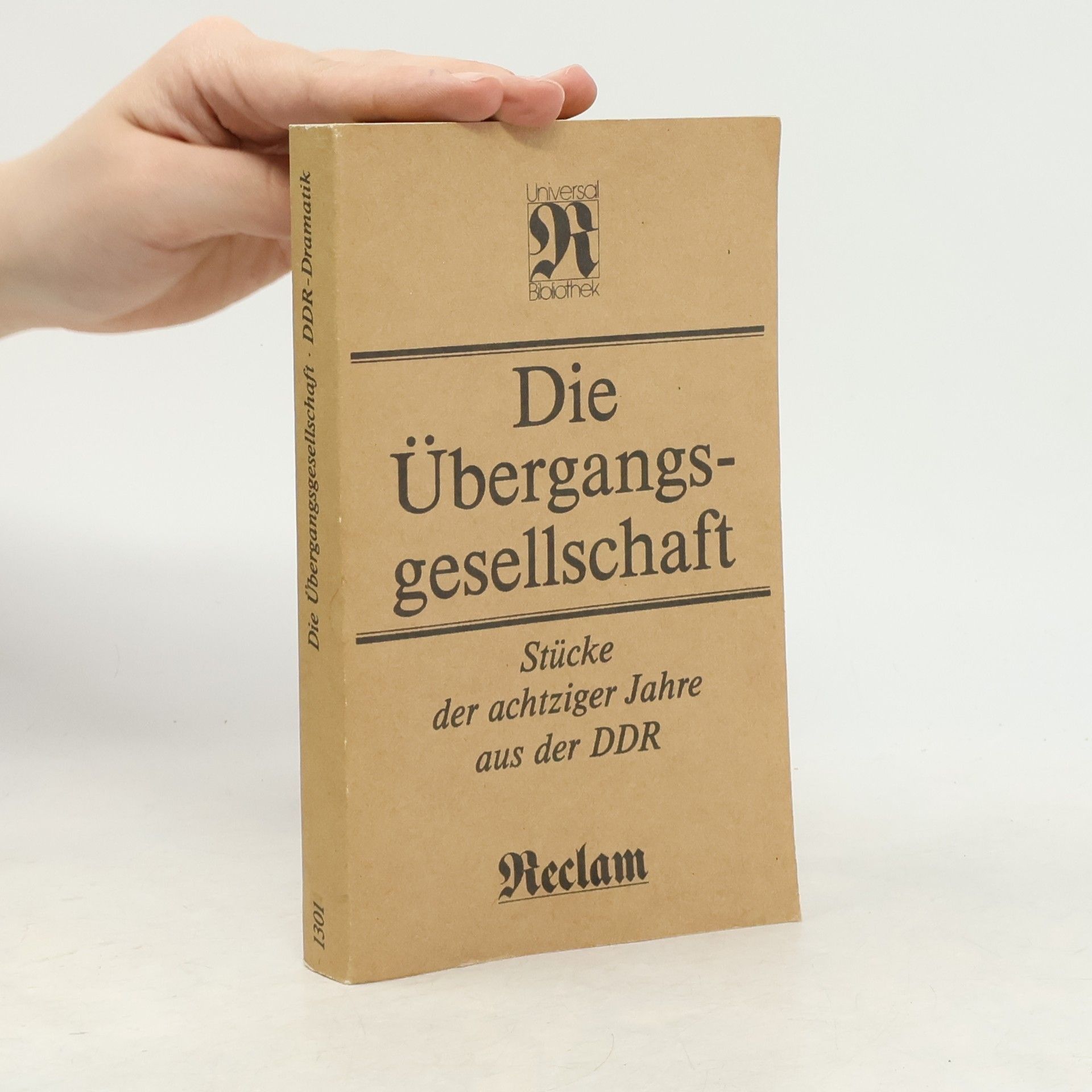 Die Übergangsgesellschaft