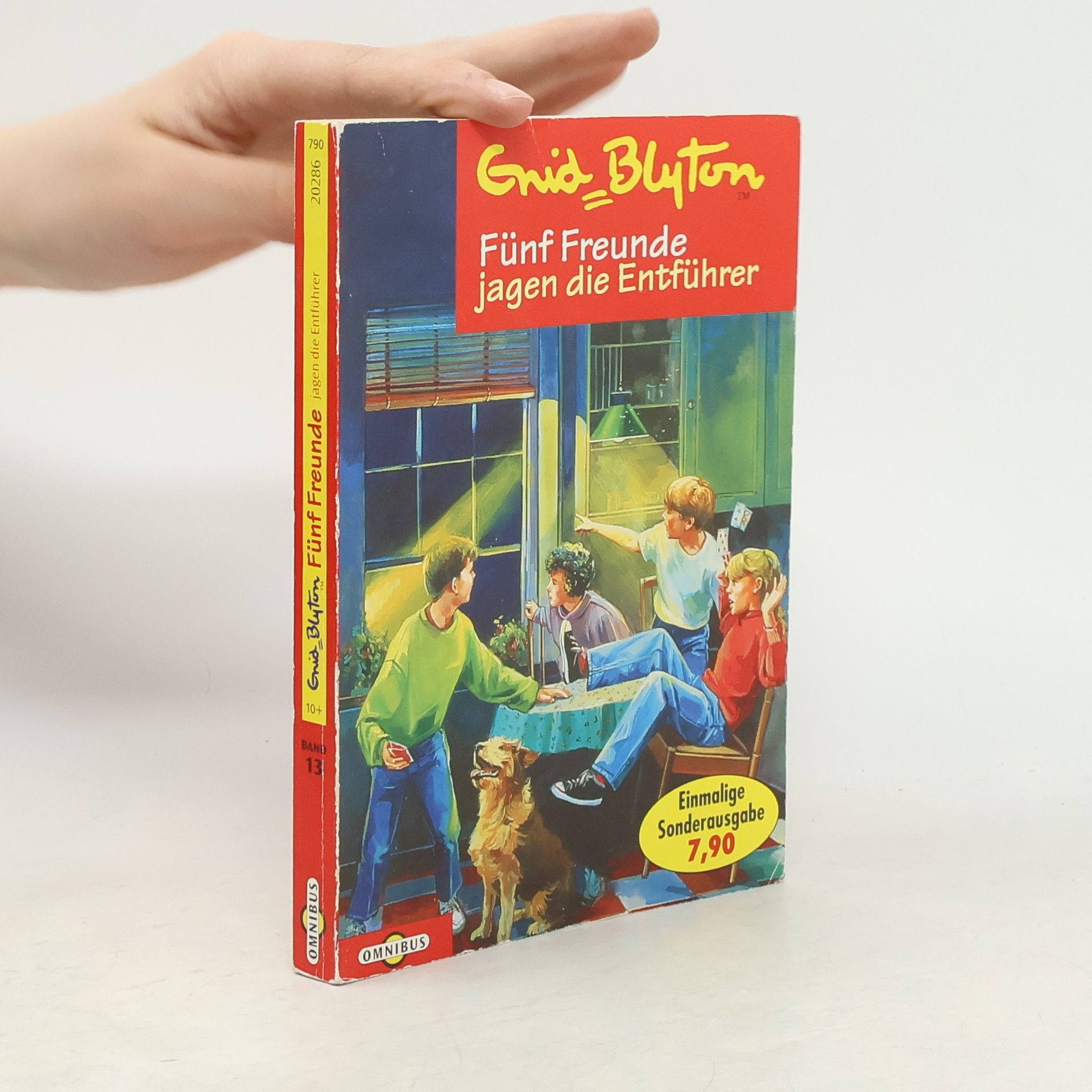 Enid Blyton Fünf Freunde jagen die Entführer