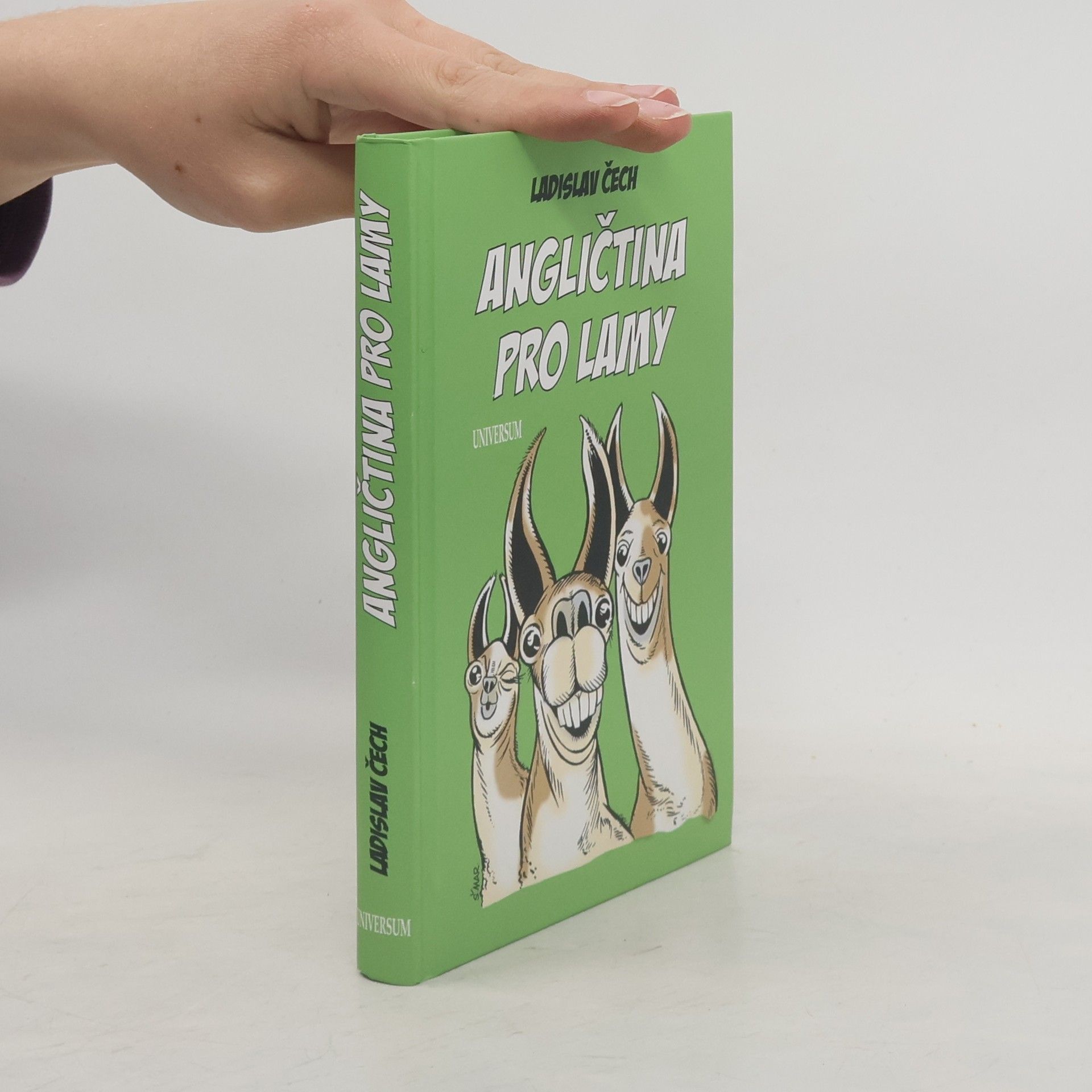 Ladislav Čech Angličtina pro lamy
