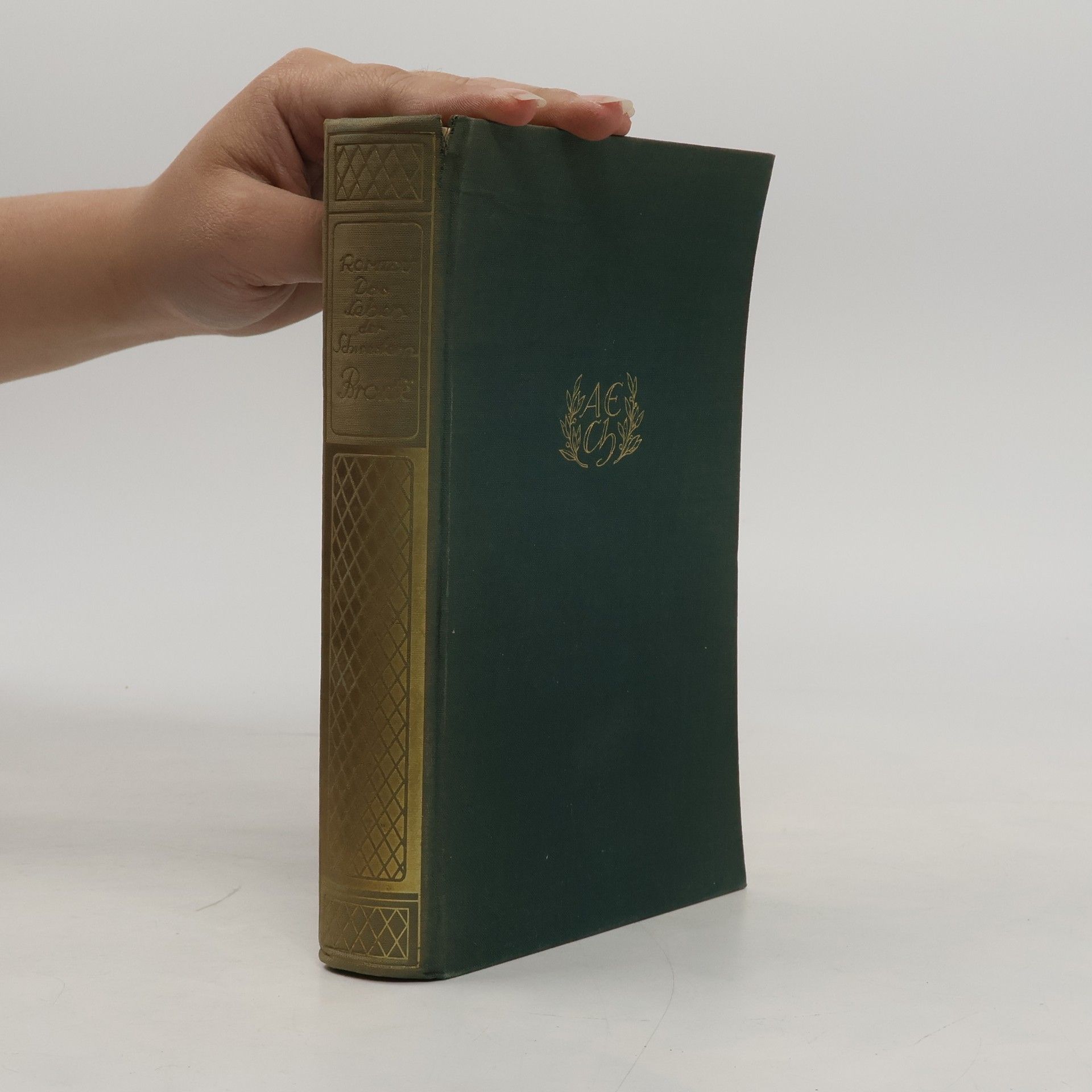 Die Schwestern Brönte