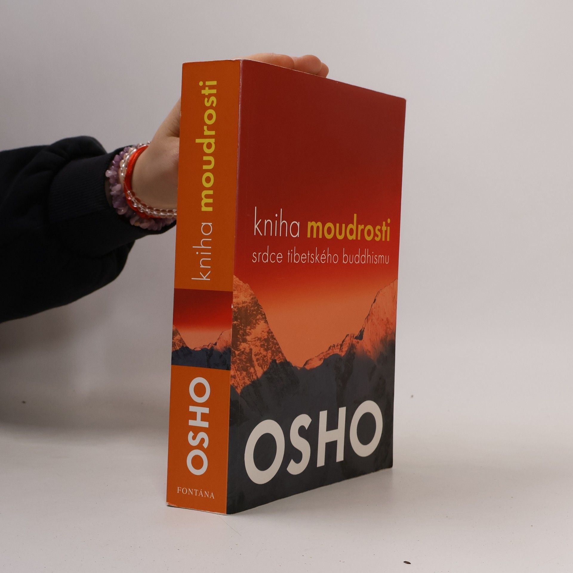 Kniha moudrosti. Srdce tibetského buddhismu