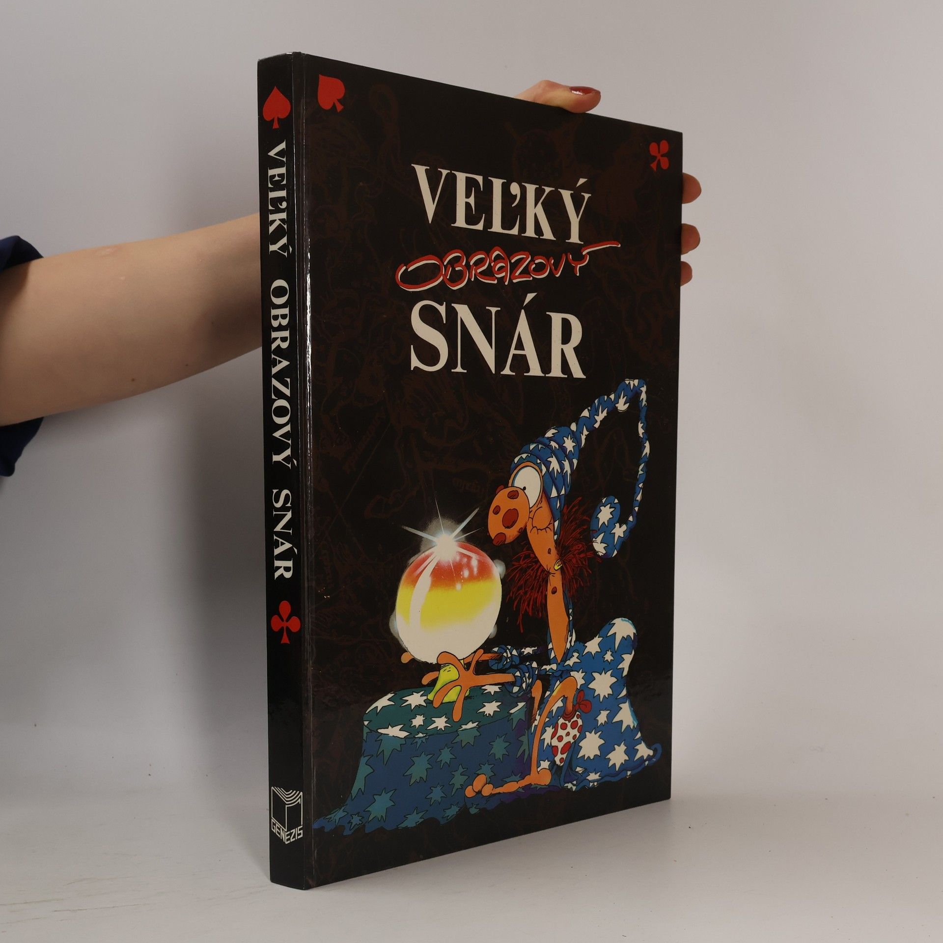 Auteurscollectief Veľký obrazový snár