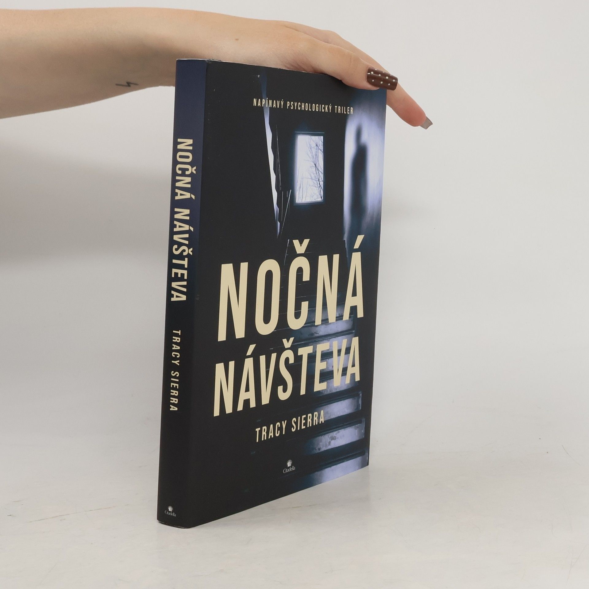 Tracy Sierra Nočná návšteva