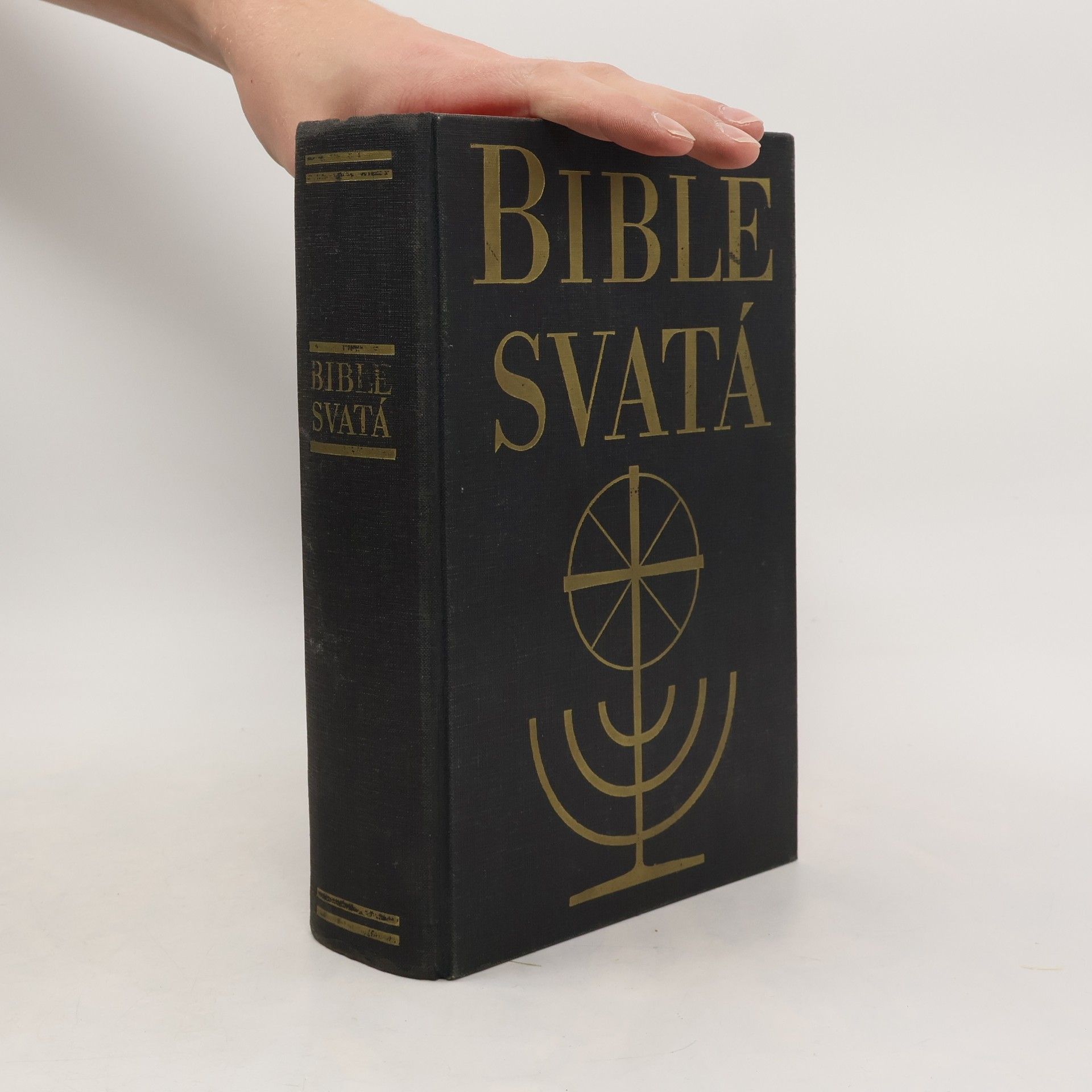 Various authors Bible svatá aneb Všecka Svatá písma Starého i Nového zákona
