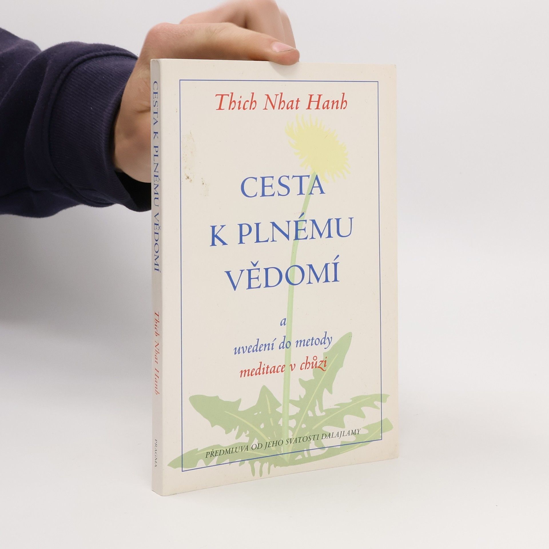 Cesta k plnému vědomí a uvedení do metody meditace v chůzi