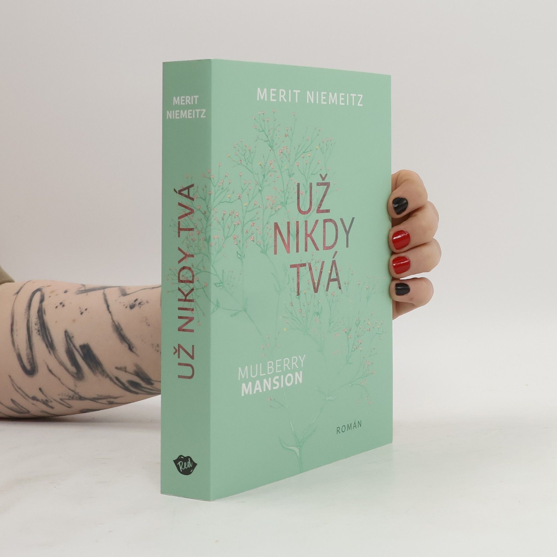 Merit Niemeitz Už nikdy tvá
