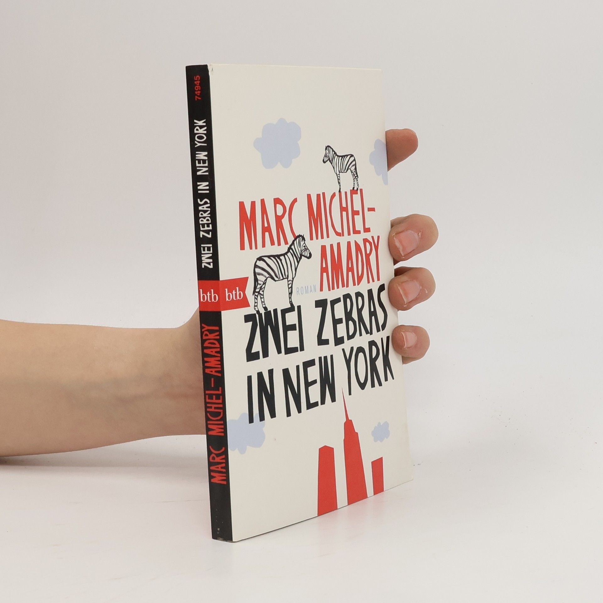 Marc Michel-Amadry Zwei Zebras in New York