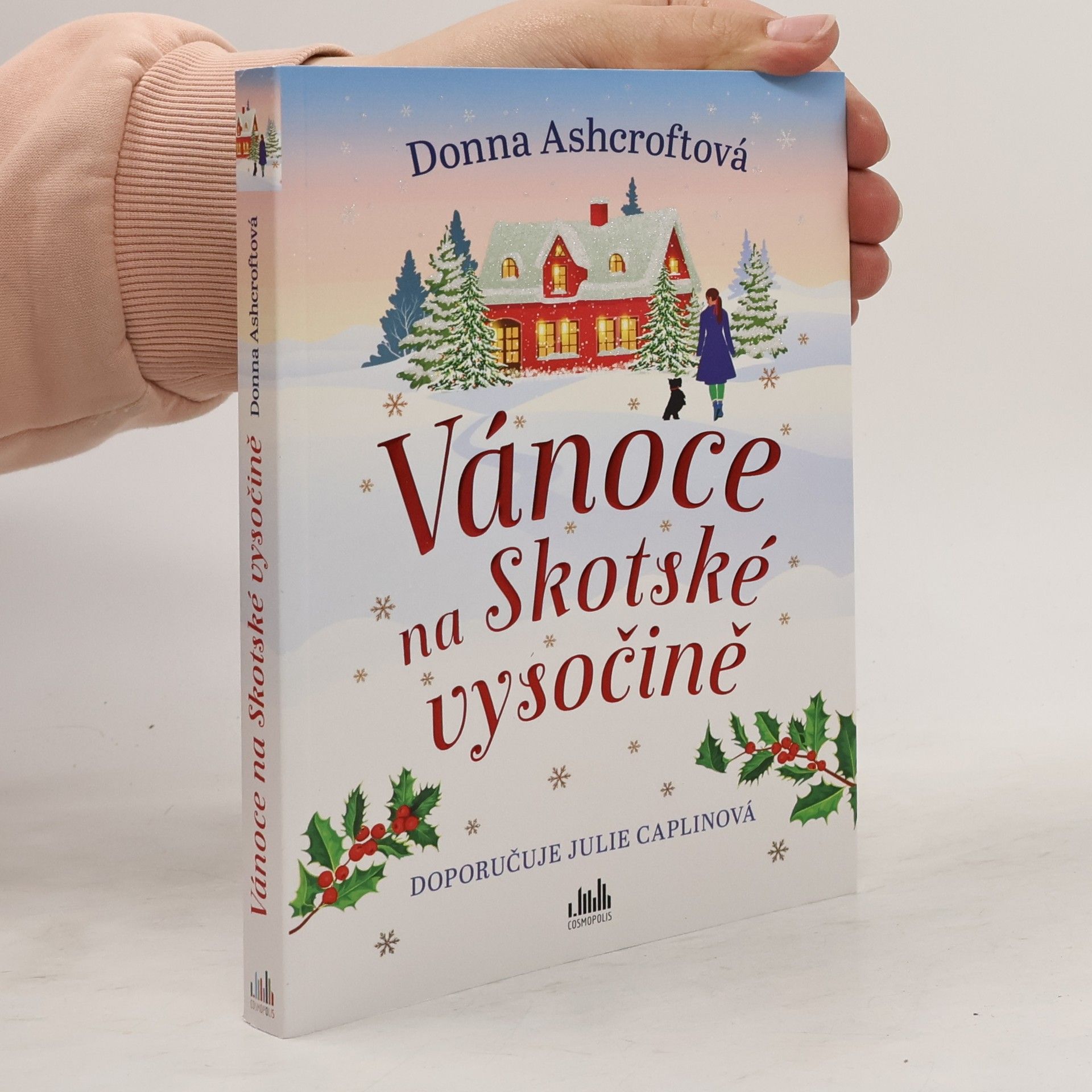 Donna Ashcroft Vánoce na Skotské vysočině