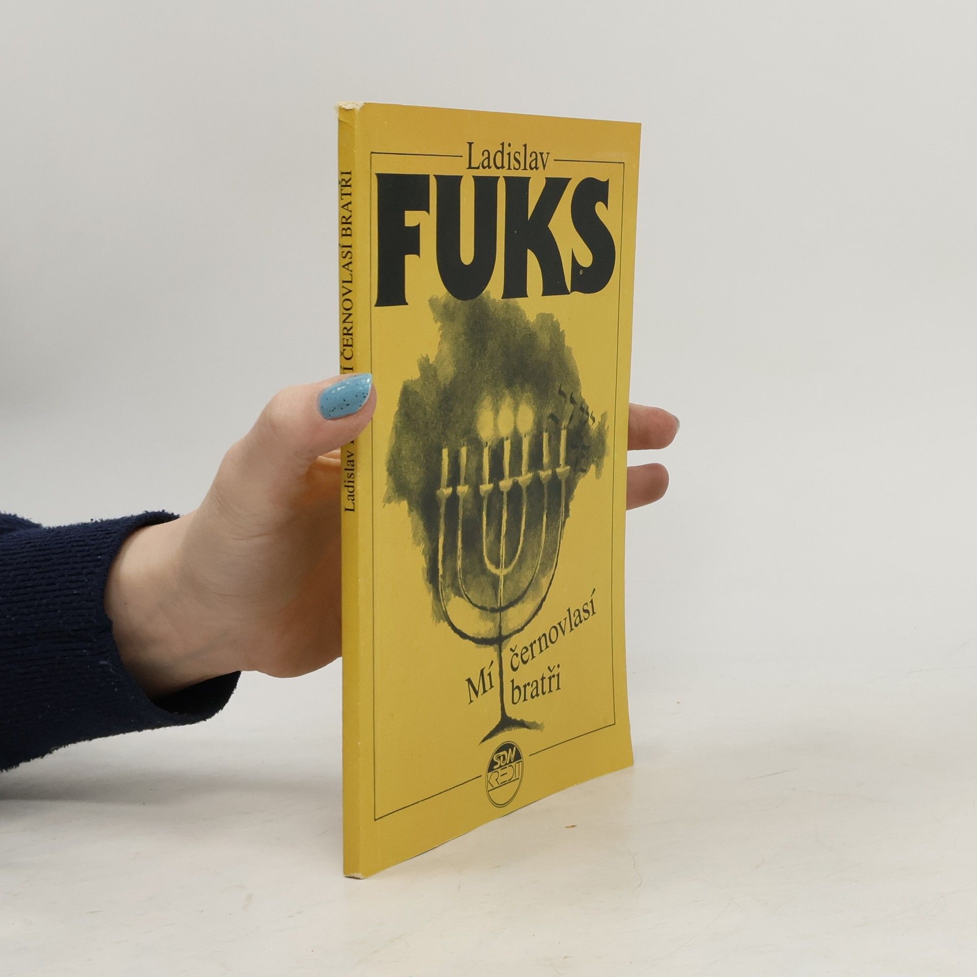 Ladislav Fuks Mí černovlasí bratři