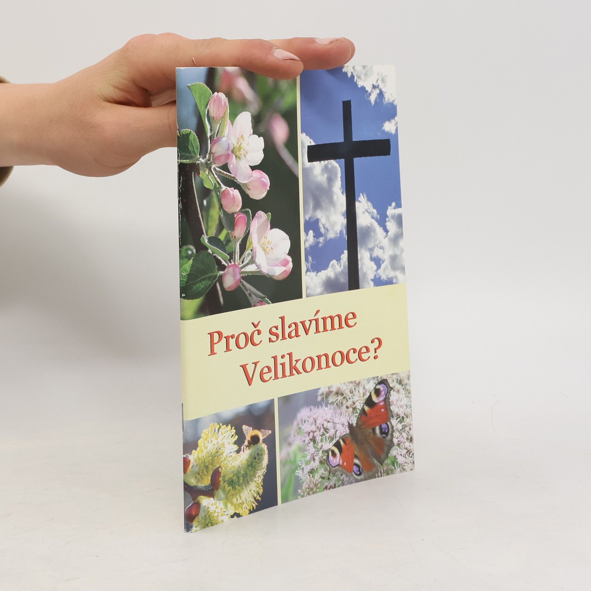 Autorenkollektiv Proč slavíme Velikonoce?