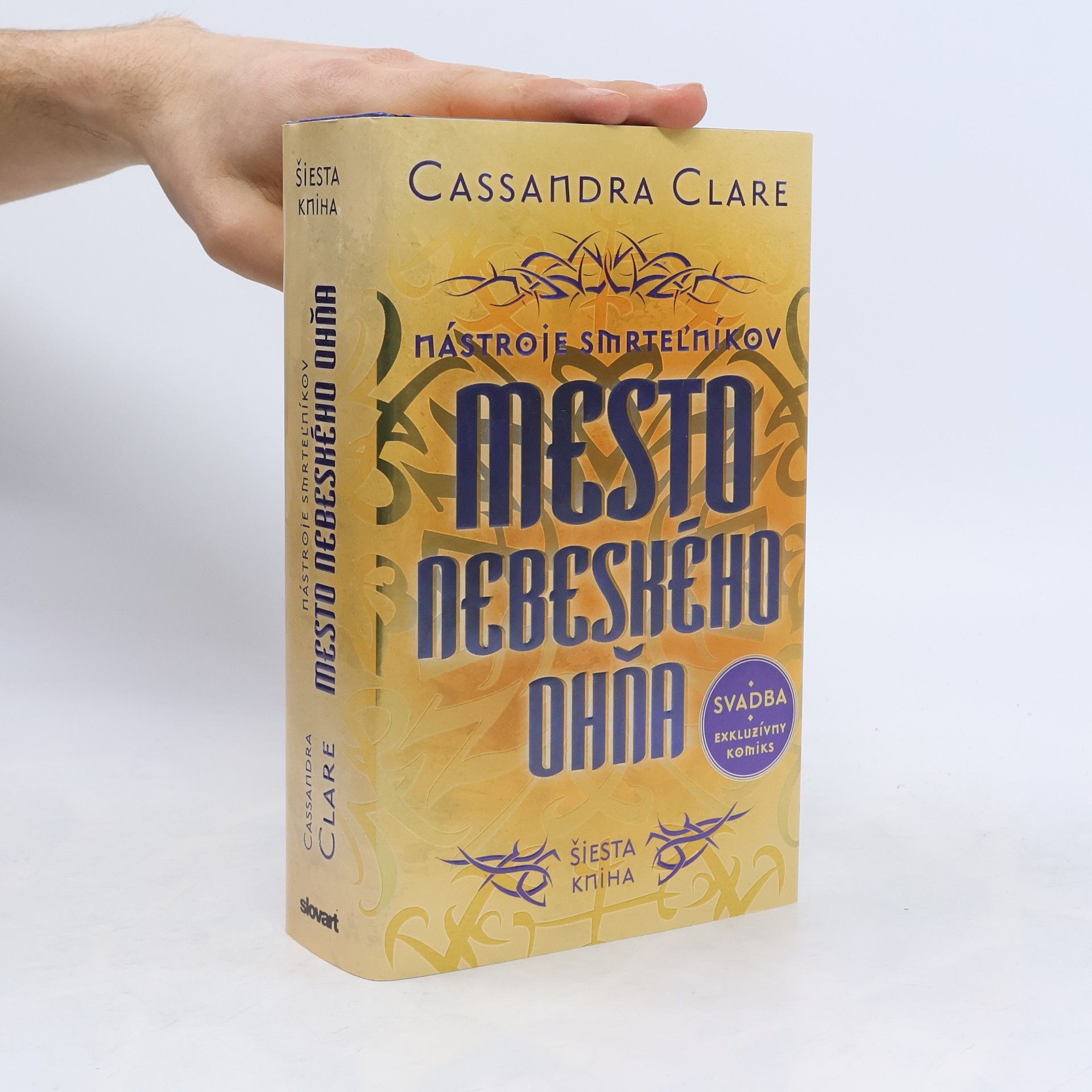 Cassandra Clare Mesto nebeského ohňa