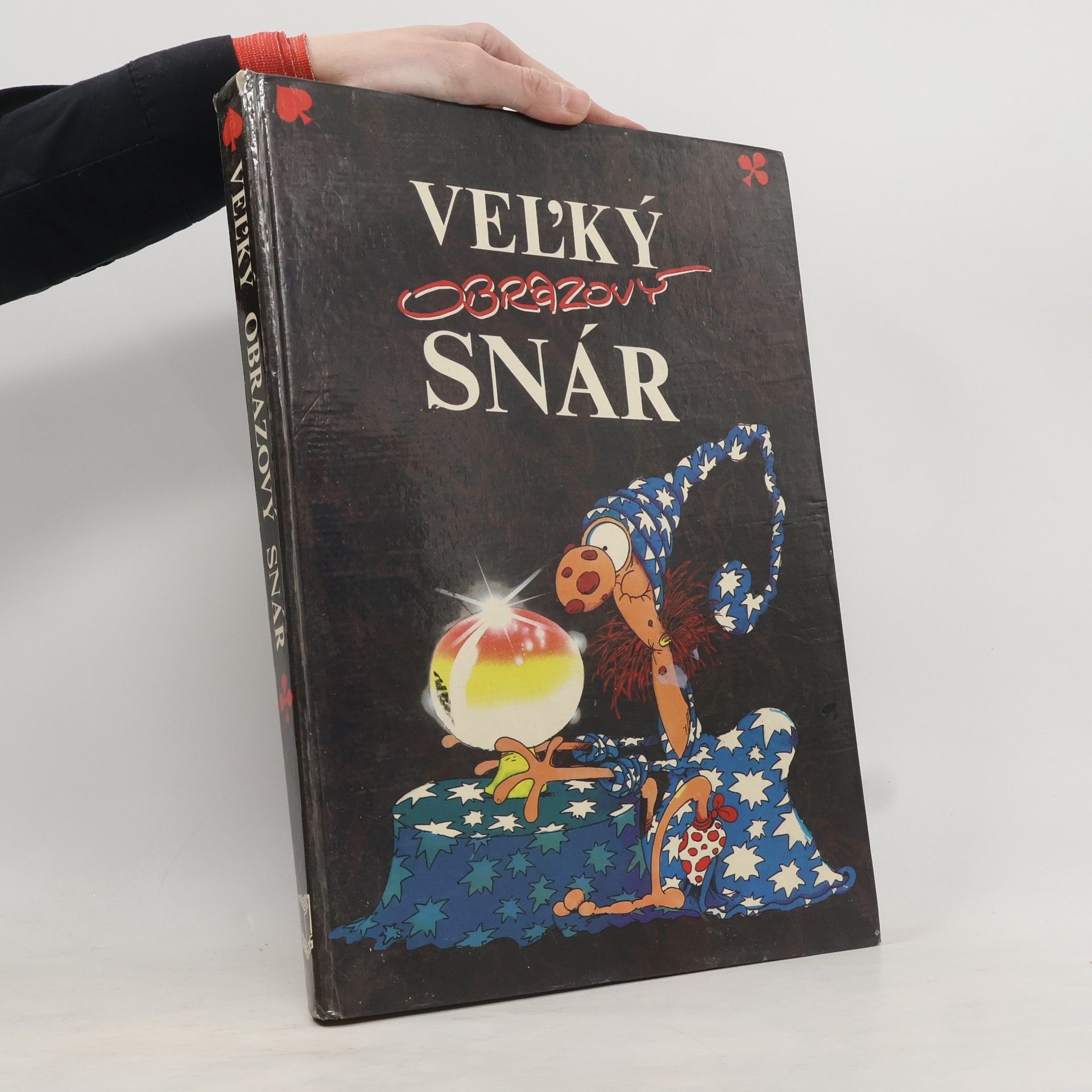 Autorenkollektiv Veľký obrazový snár