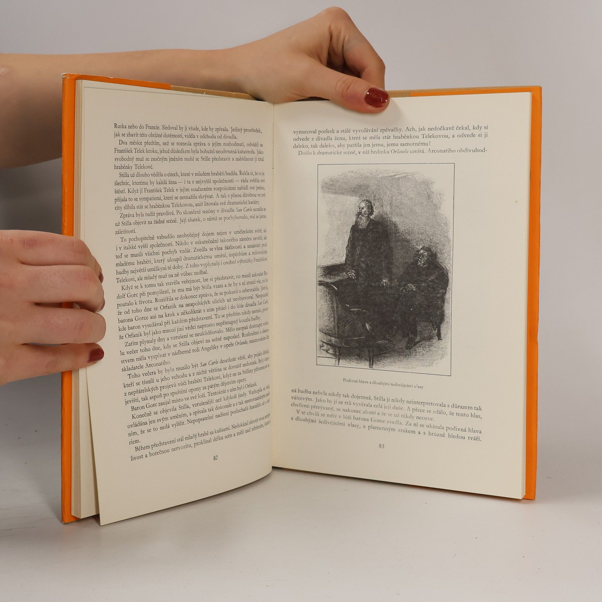 Jules Verne Tajemný hrad v Karpatech