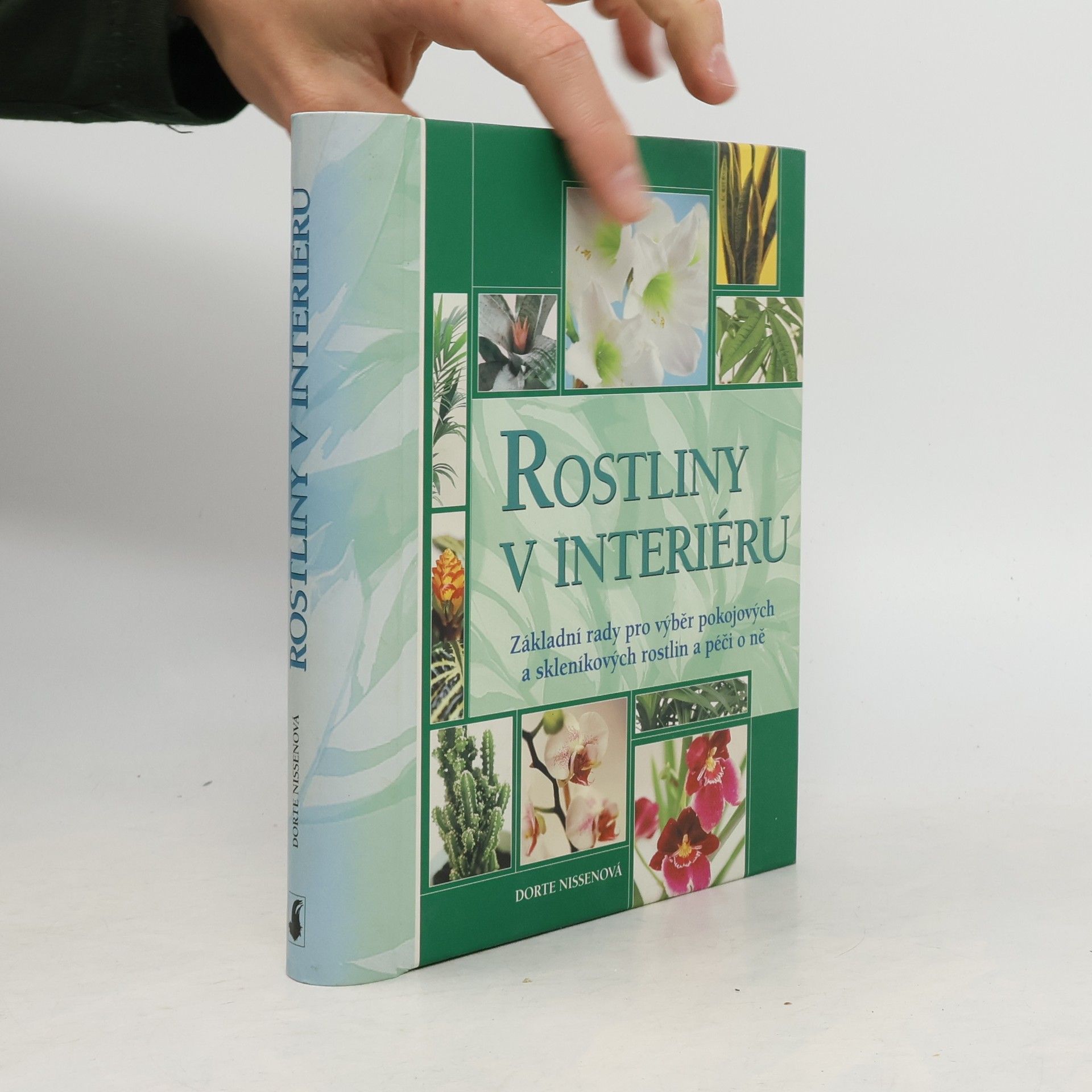 Dorte Nissen Rostliny v interiéru