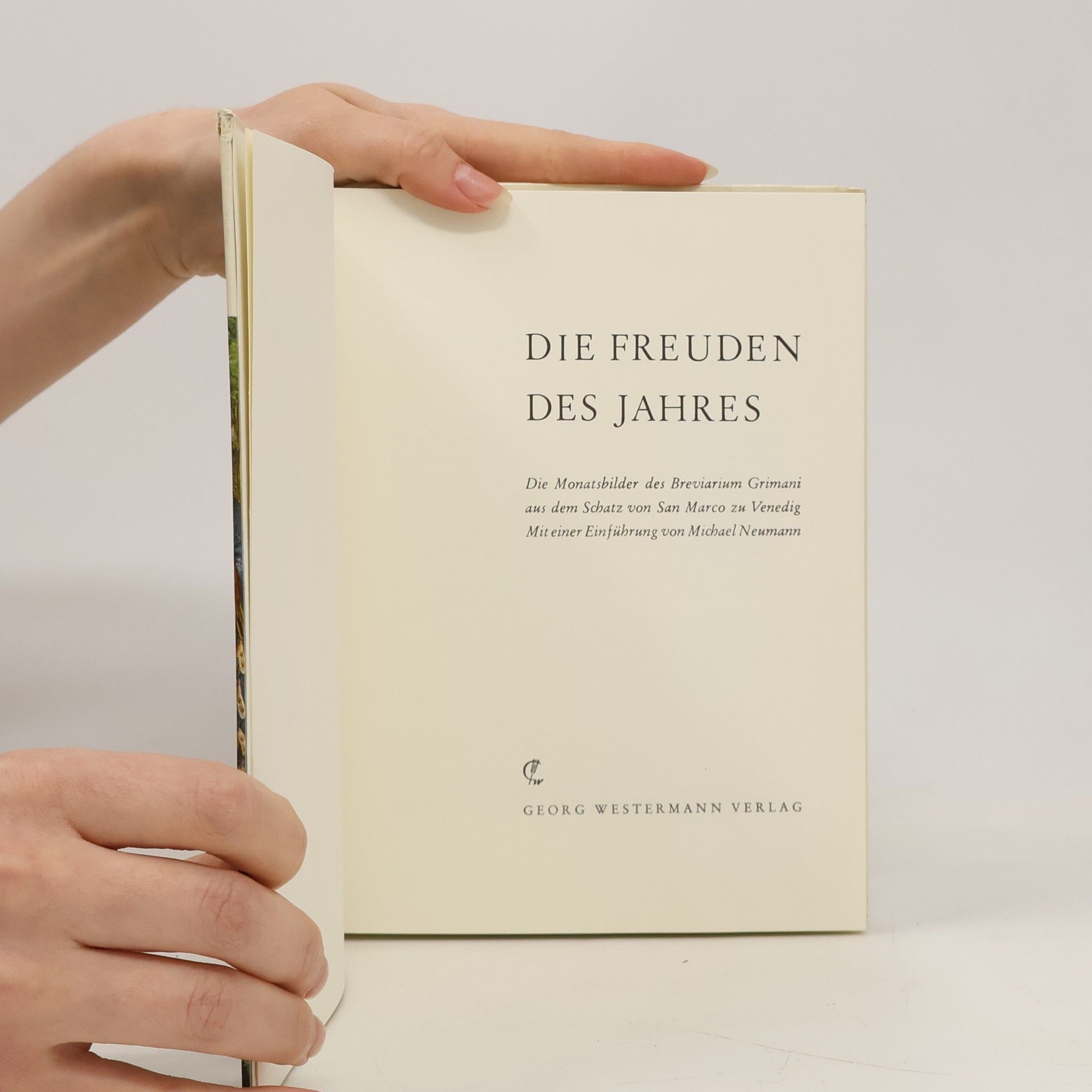 Michael Neumann Die Freuden des Jahres