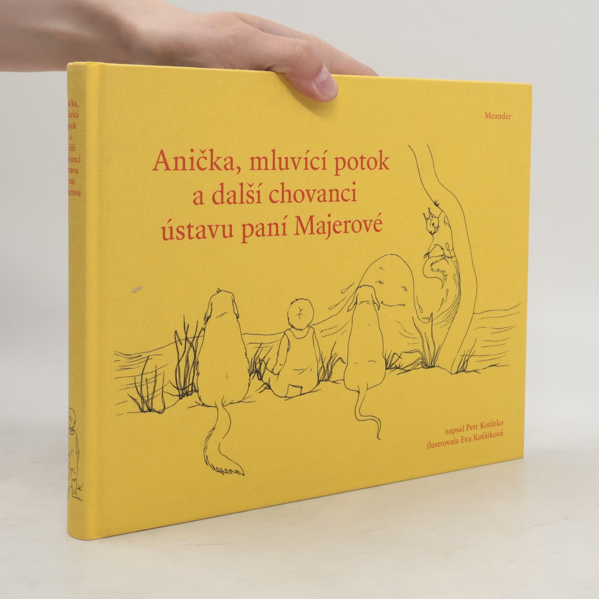 Petr Koťátko Anička, mluvící potok a další chovanci ústavu paní Majerové