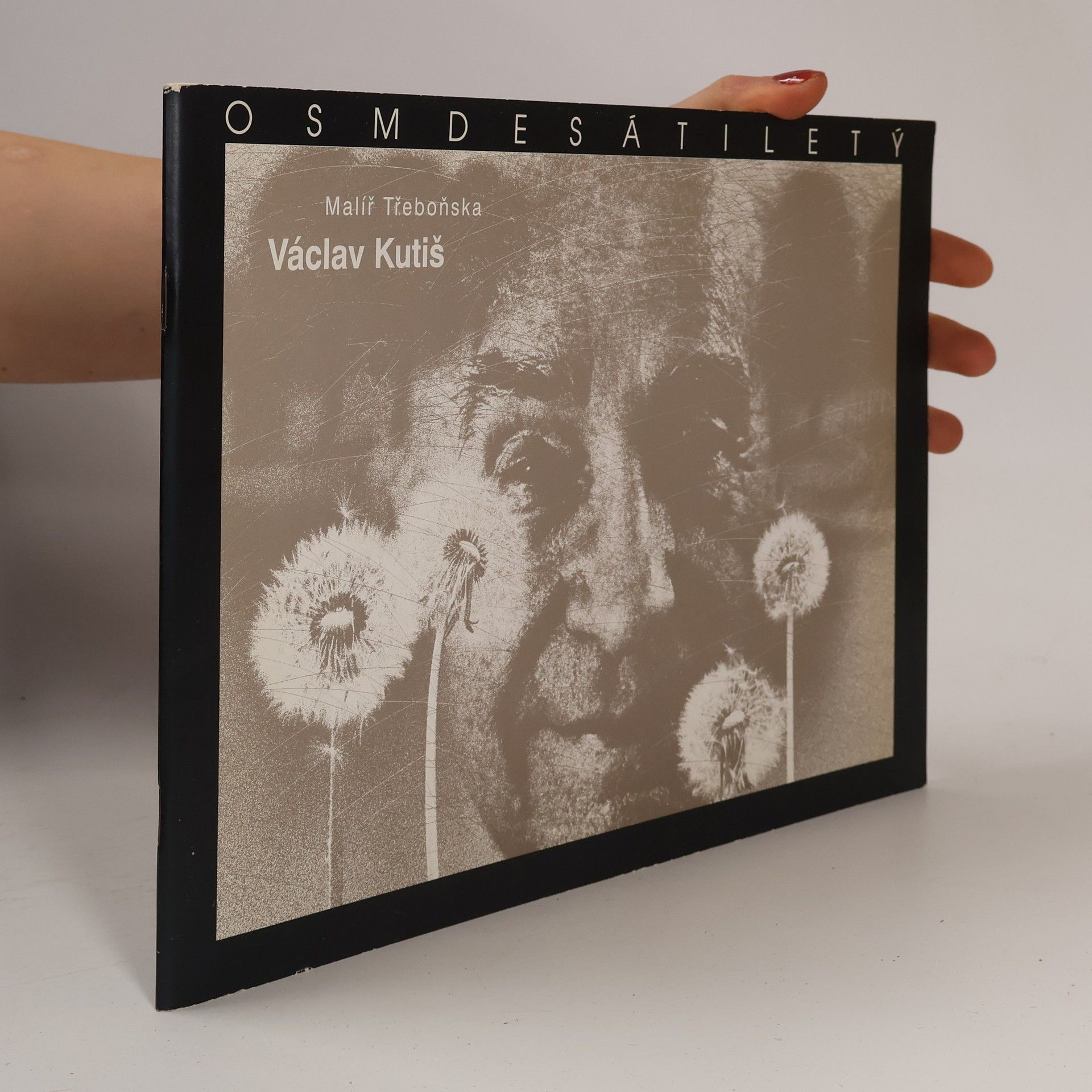 Václav Kutiš Osmdesátiletý malíř Třeboňska Václav Kutiš