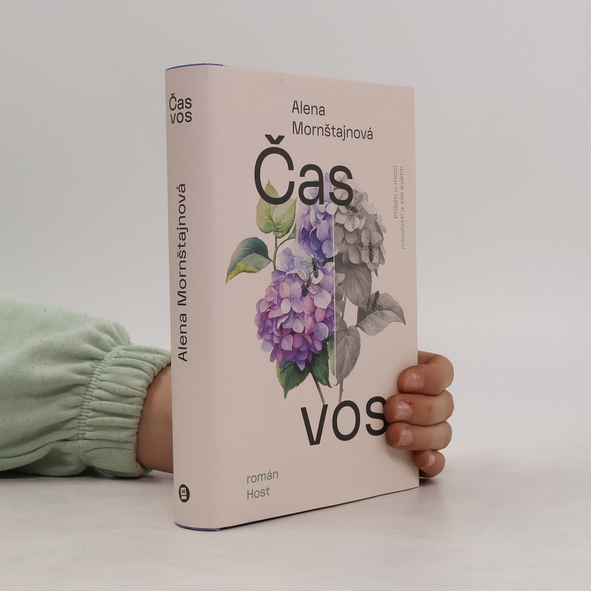 Alena Mornštajnová Čas vos