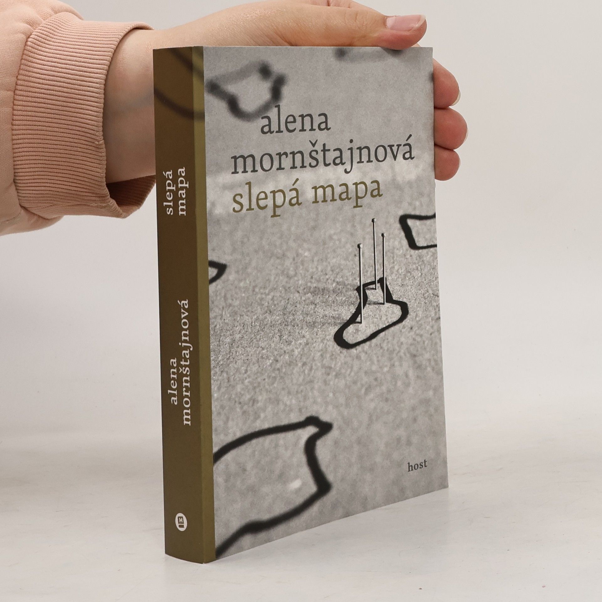 Alena Mornštajnová Slepá mapa