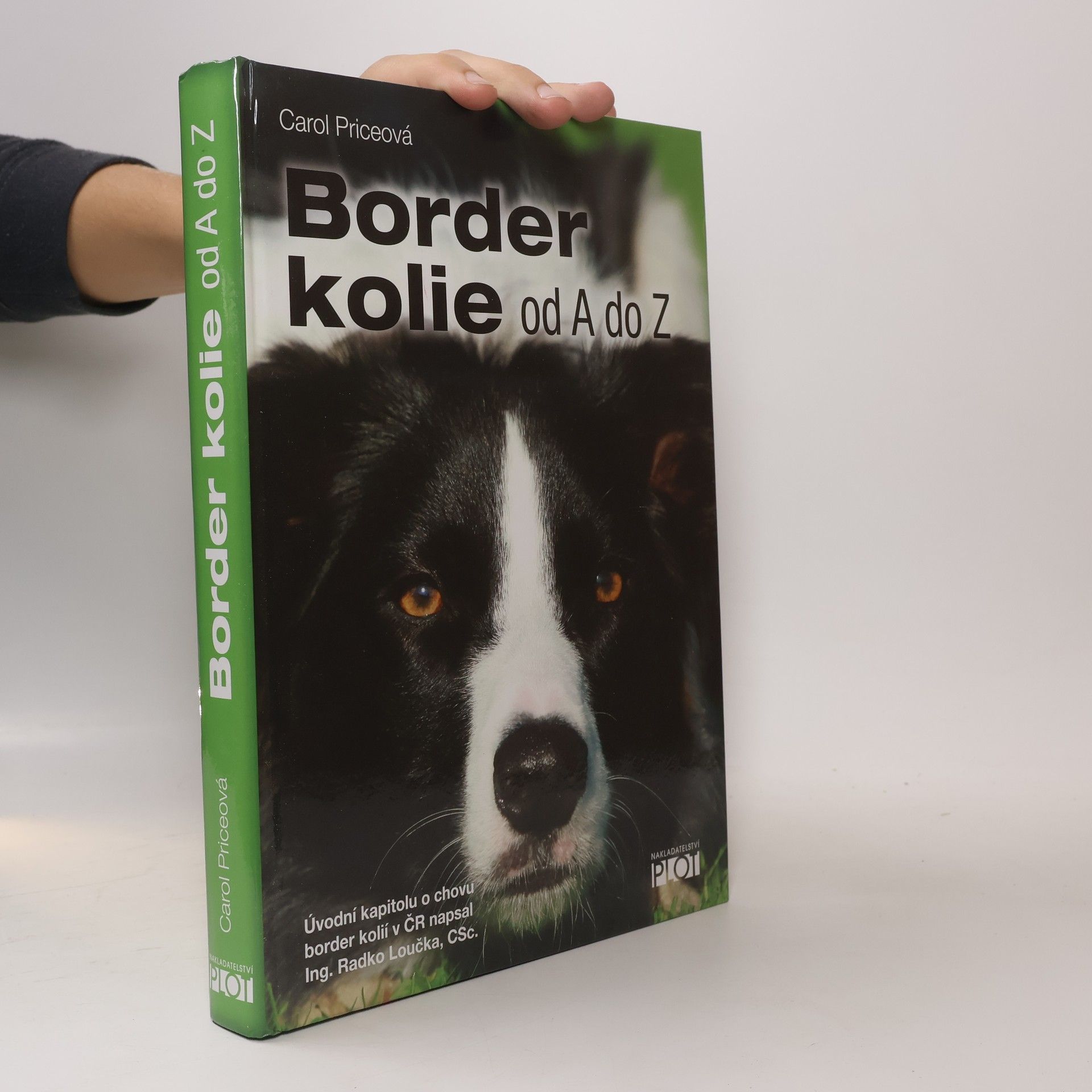 Carol Price Border kolie od A do Z
