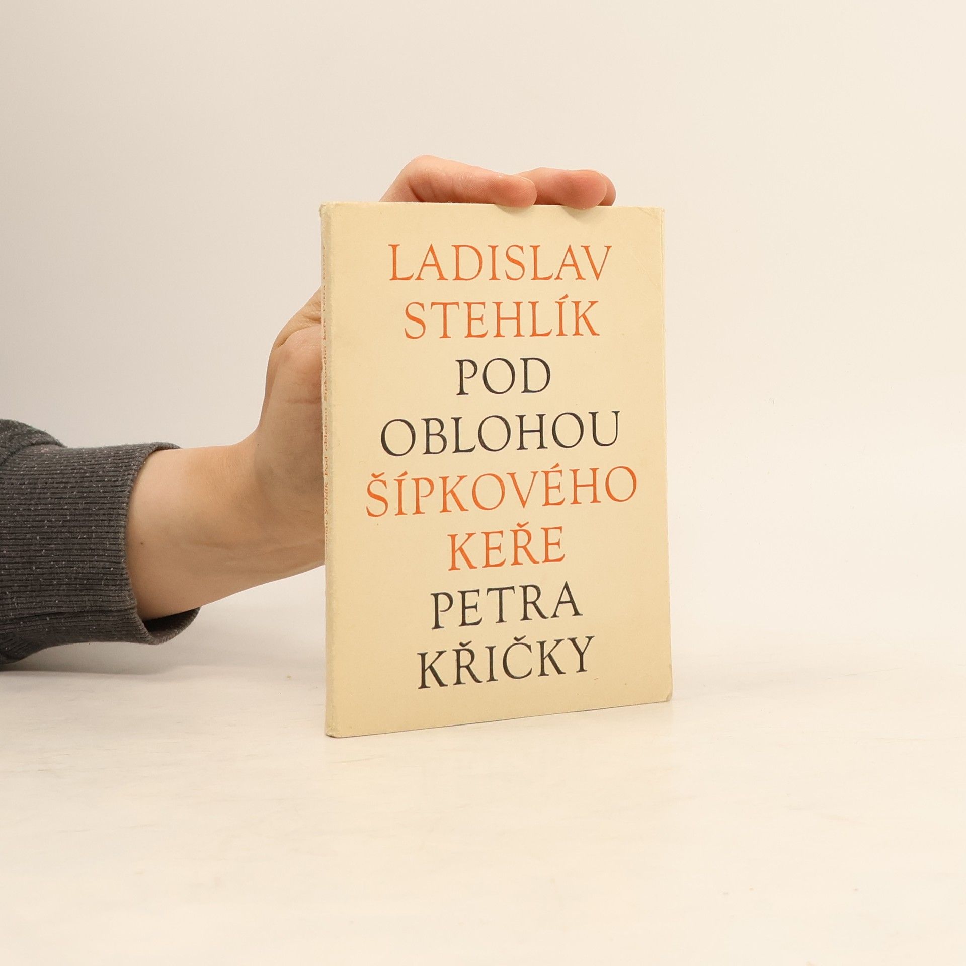 Pod oblohou Šípkového keře Petra Křičky