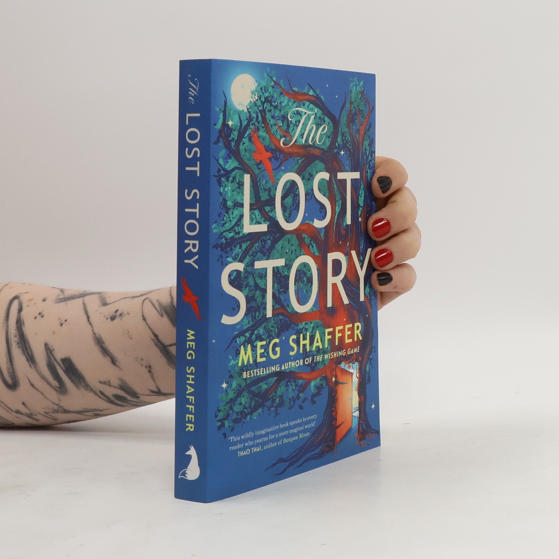 The Lost Story