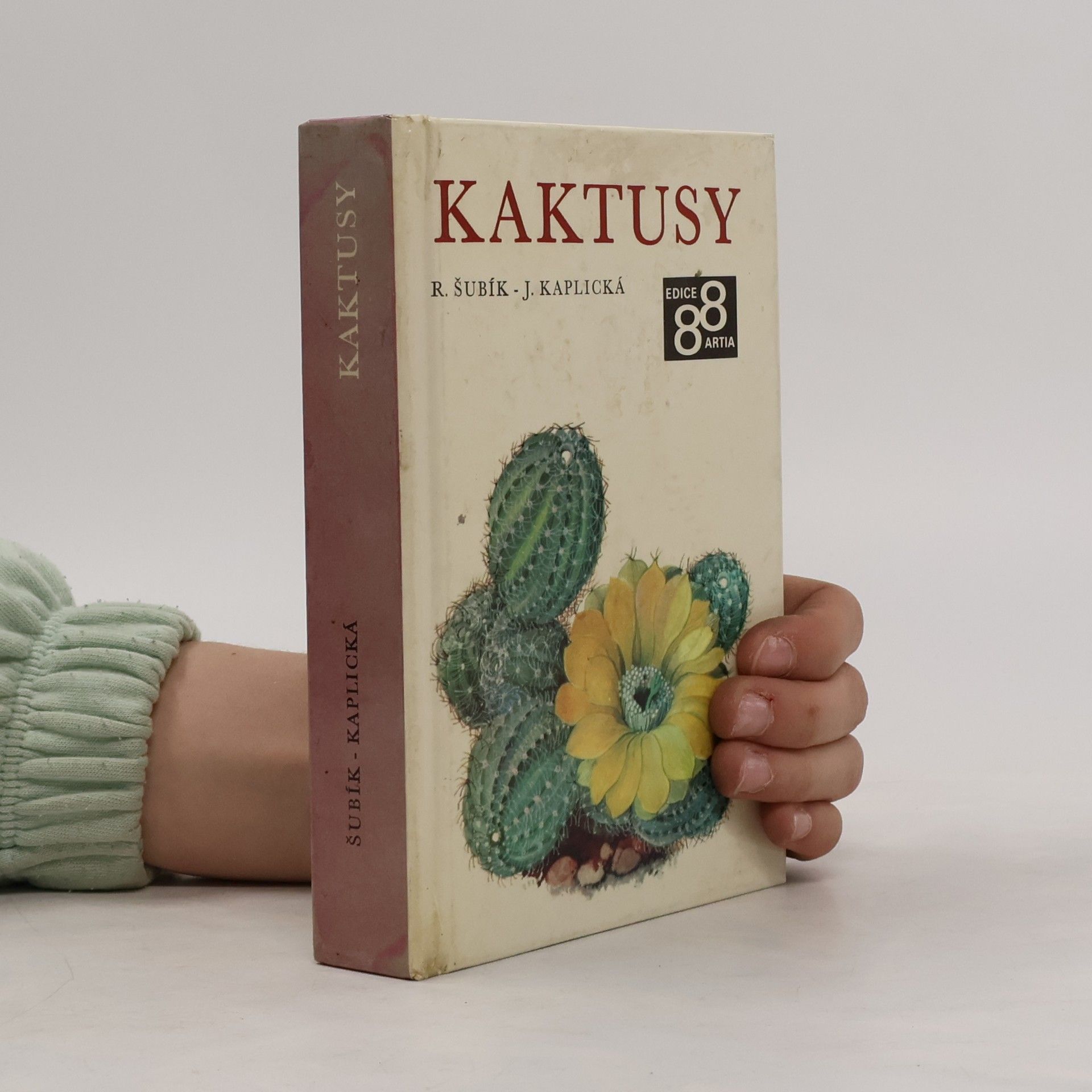 Kaktusy