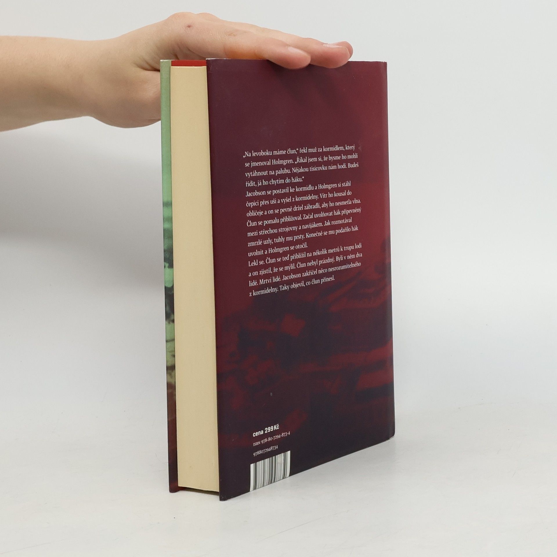 Henning Mankell Psi z Rigy