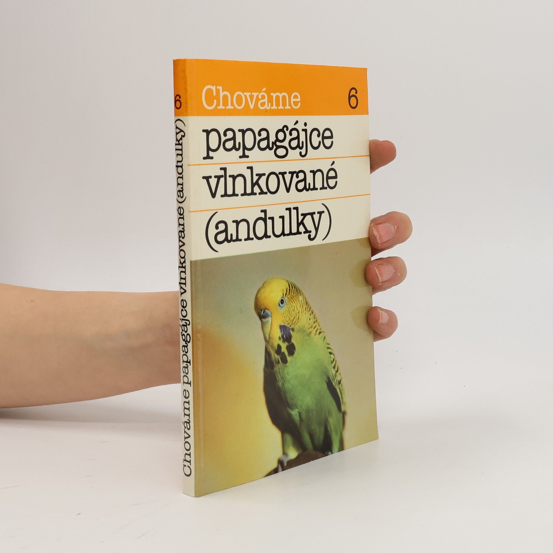 Bystrík Ambruš Chováme papagájce vlnkované (andulky)