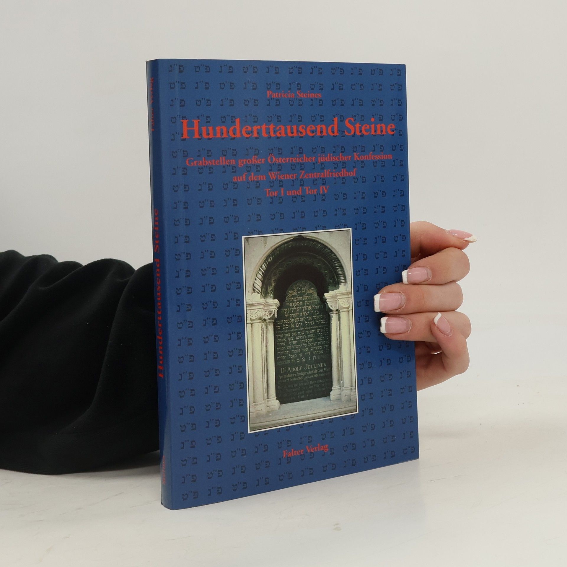 Patricia Steines Hunderttausend Steine