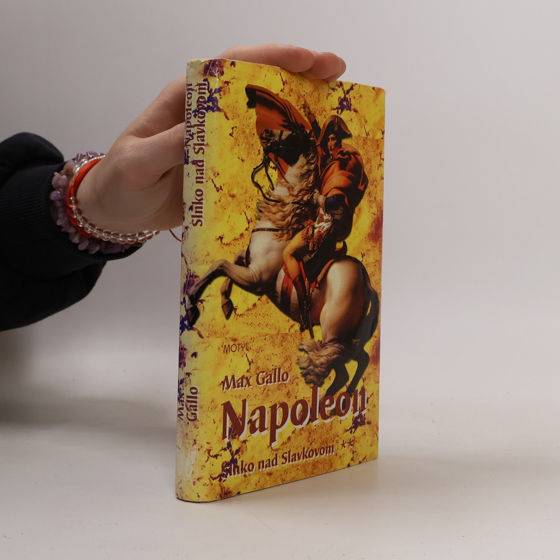 Max Gallo Napoleon: Slnko nad Slavkovom
