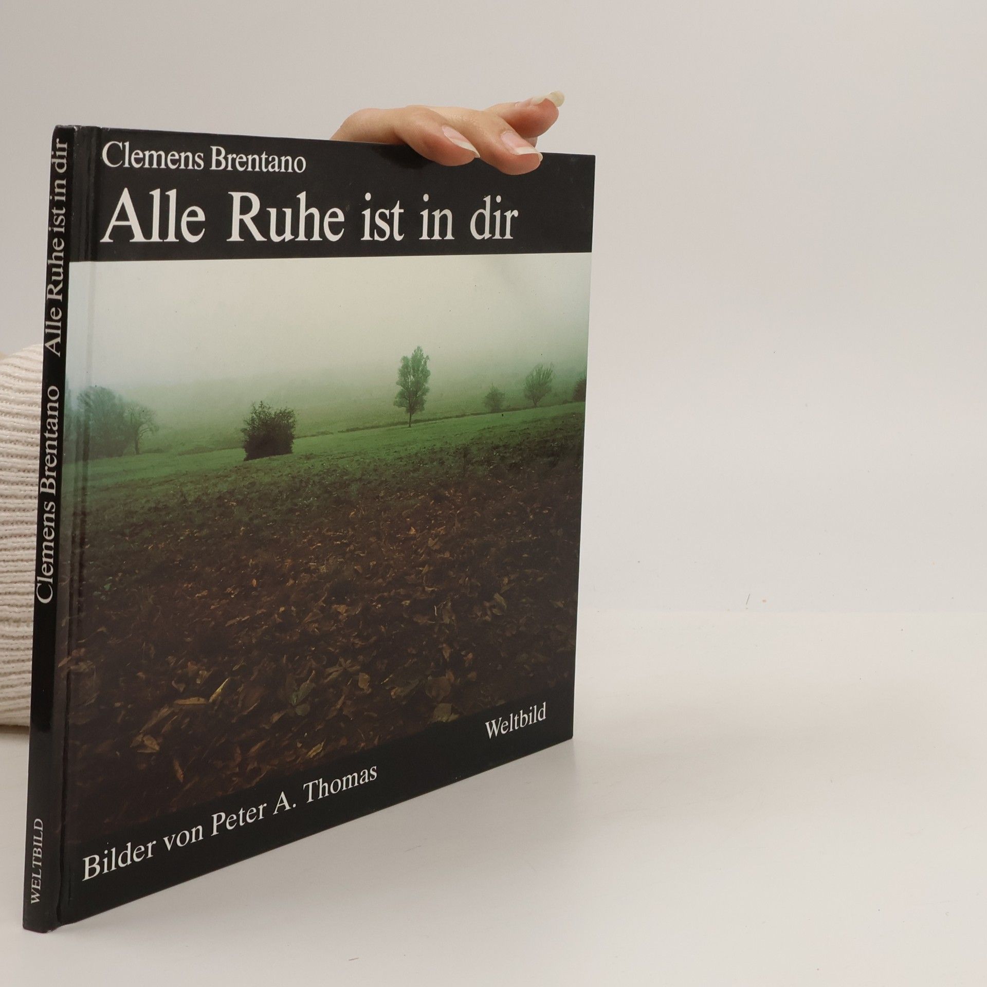 Clemens Brentano Alle Ruhe ist in dir