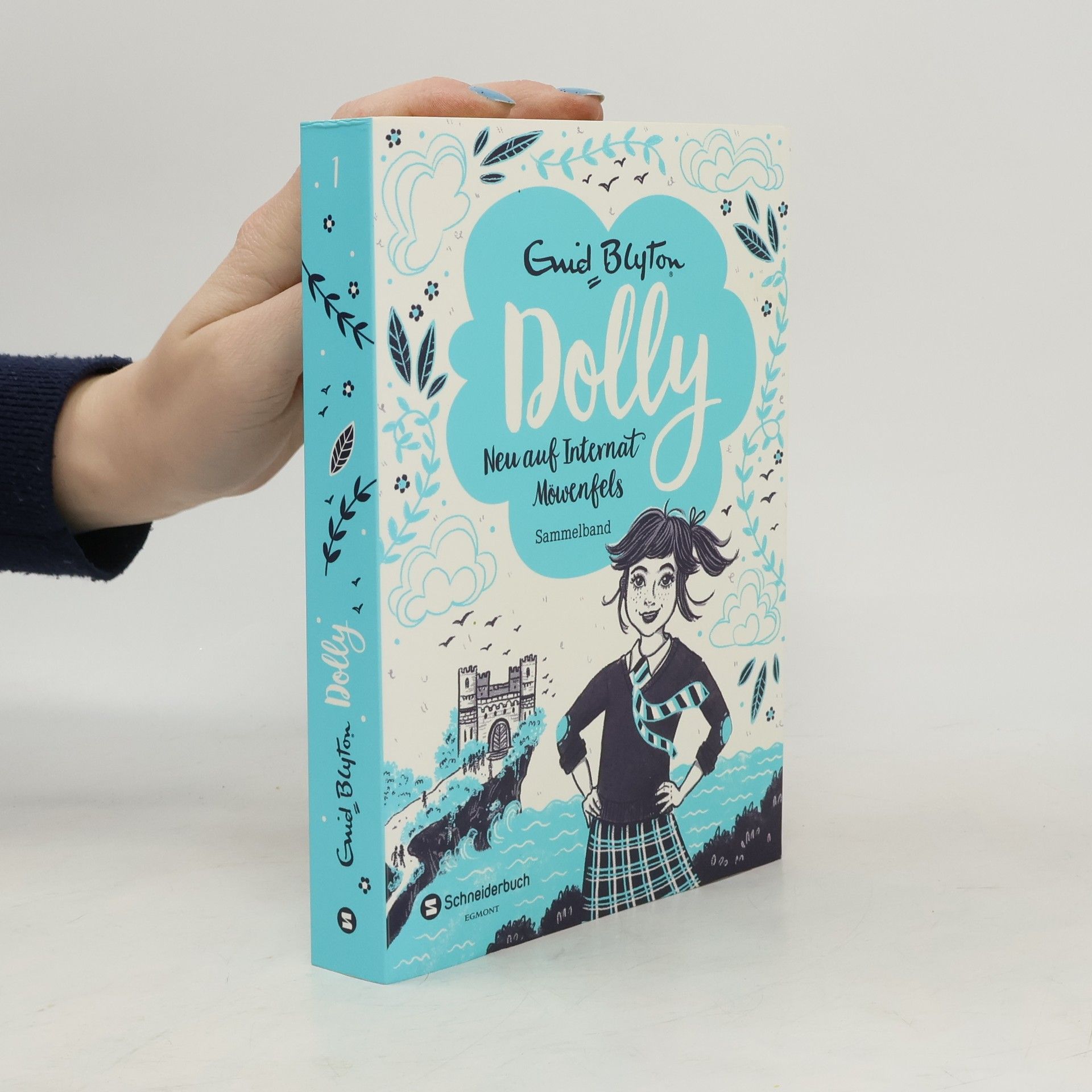 Enid Blyton Neu auf Internat Möwenfels