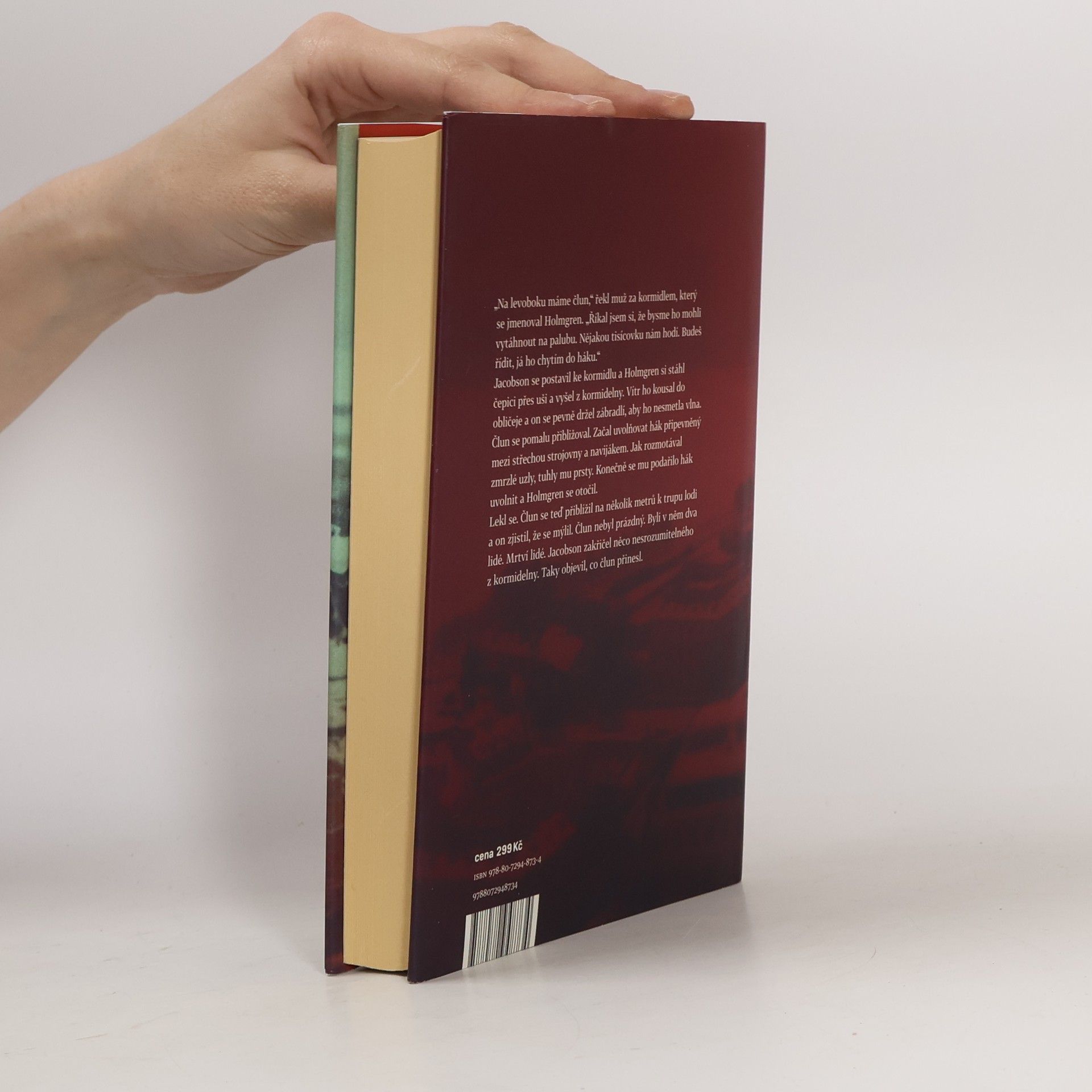 Henning Mankell Psi z Rigy